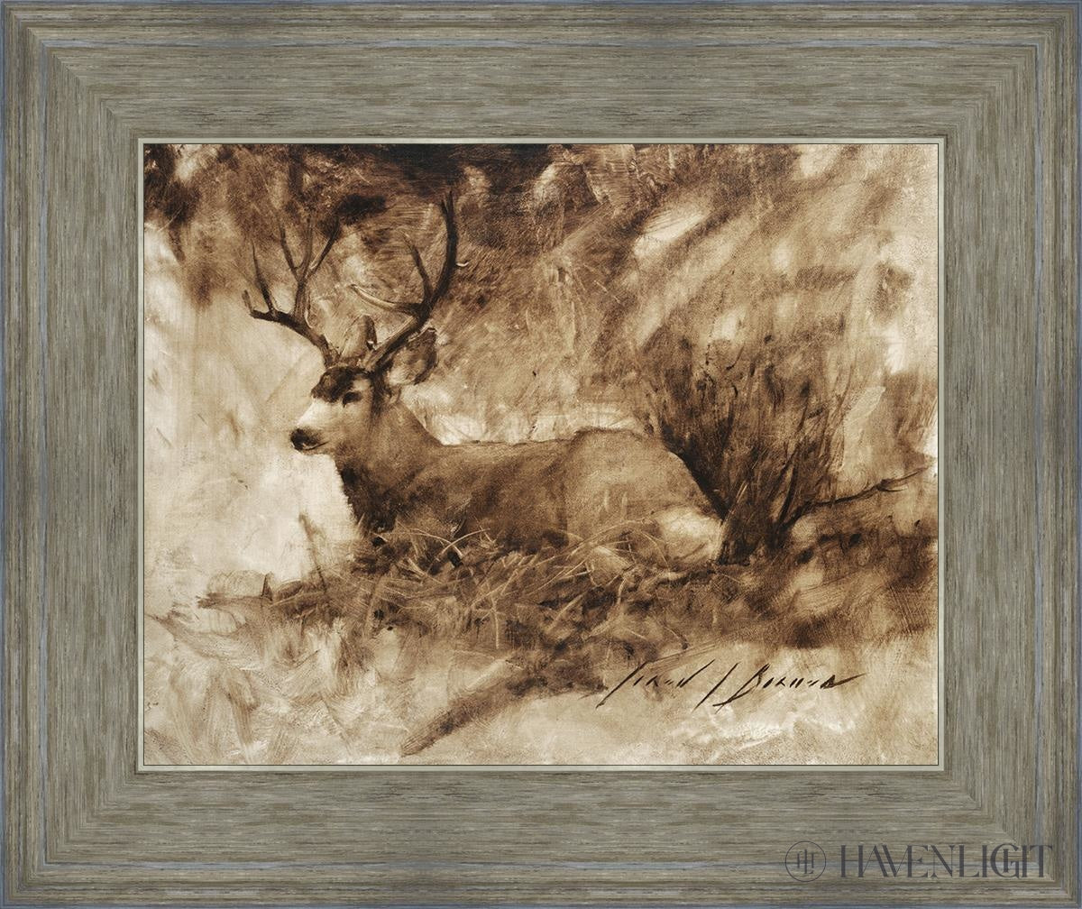 Bedded Buck By Jared Barnes - Premium Hunting & Outdoor Gear for Camping, Hiking & Adventure Enthusiasts