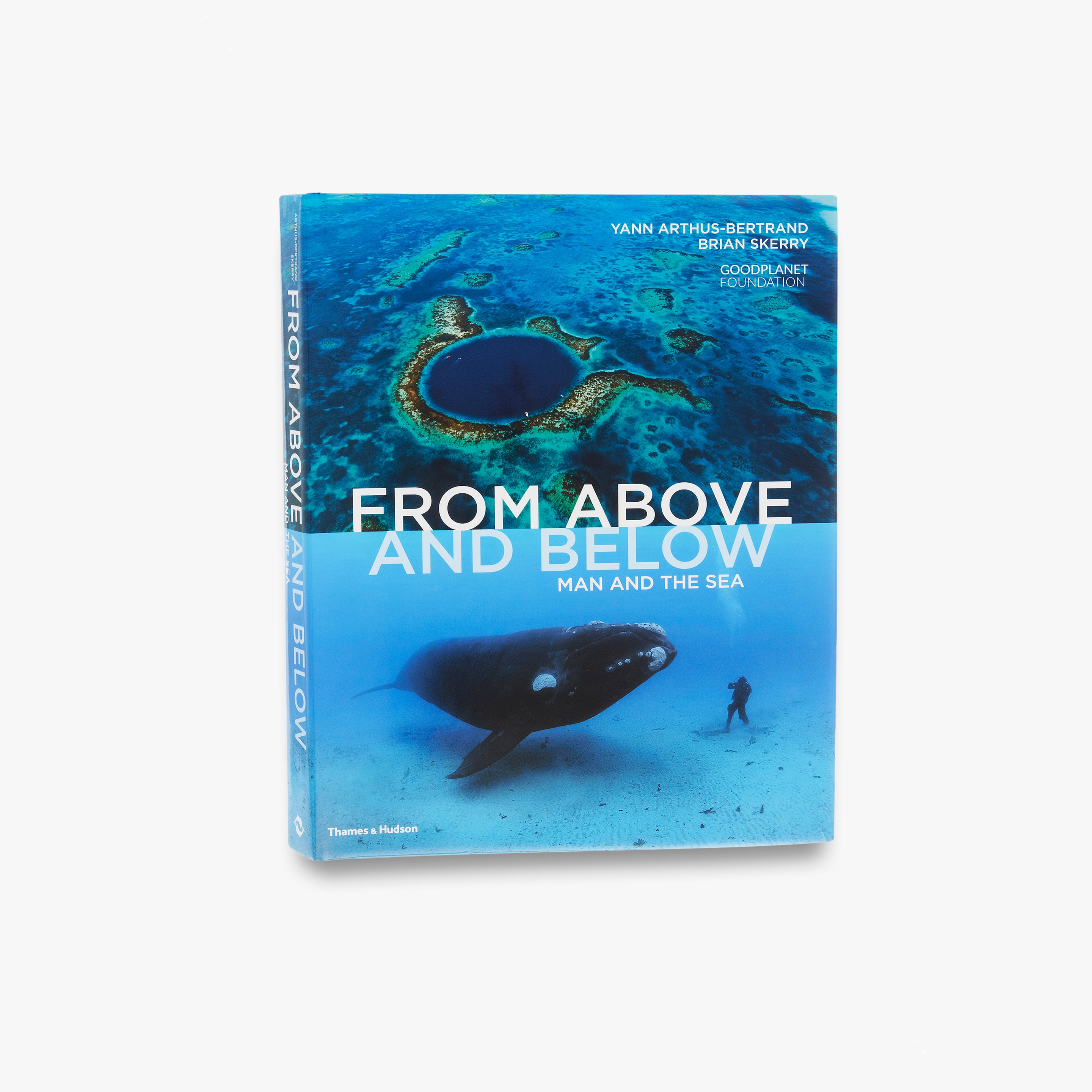 From Above and Below - Premium Home & Garden Decor for Modern Living | Perfect for Wall Art, Shelf Displays & Gift Giving