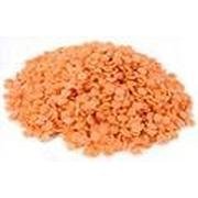 Organic Red Split Lentils - Bulk 25LB Bag | Non-GMO, Gluten-Free Peas & Beans | Perfect for Soups, Stews, and Vegan Cooking