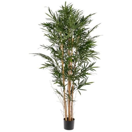 6 Feet Tall Artificial Bamboo Tree with UV Protection - Perfect for Indoor Home Decor, Office, and Outdoor Patio Landscaping