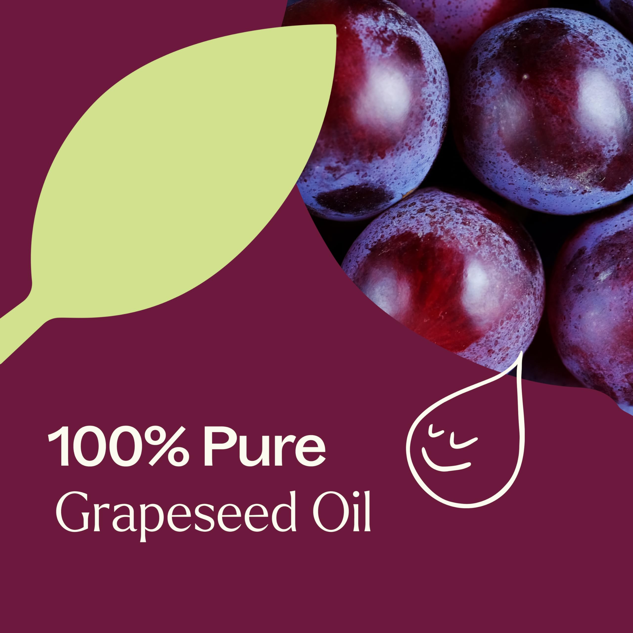 Plant Therapy Grapeseed Carrier Oil 16 oz - 100% Pure Natural Base Oil for Aromatherapy, Essential Oils & Massage - Perfect for DIY Skincare, Hair Care & Relaxation Therapy