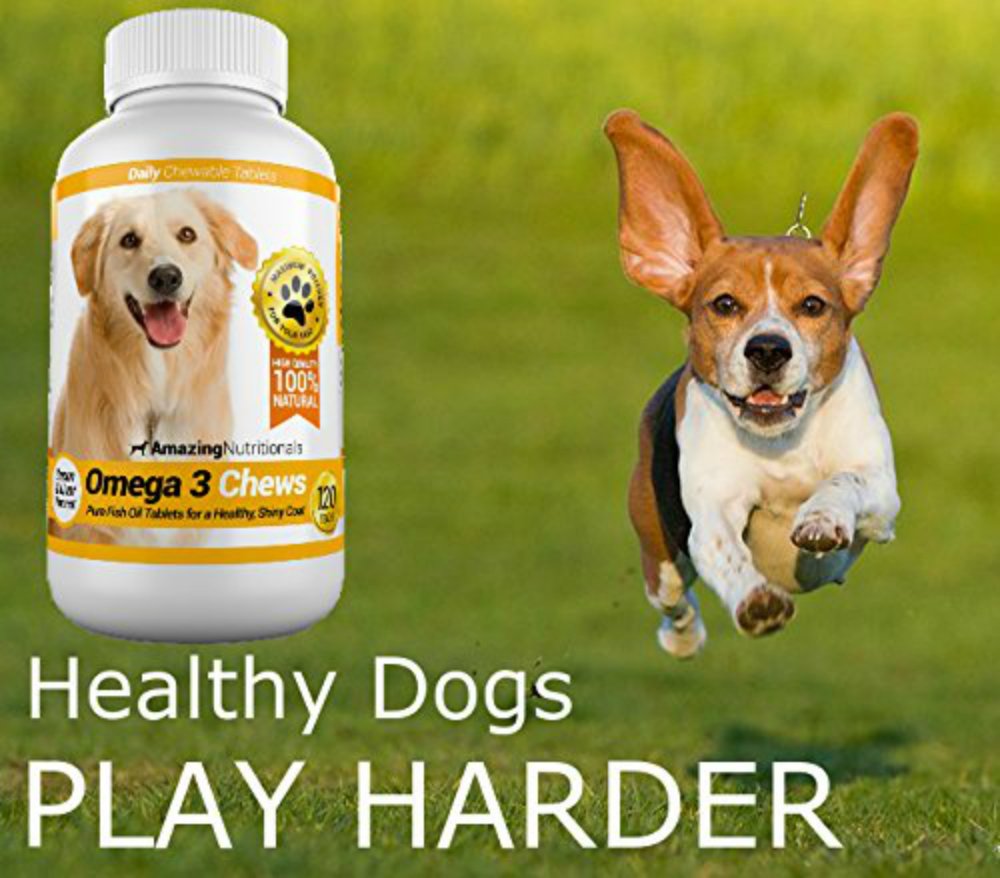 Premium Omega-3 Fish Oil & Turmeric Curcumin Supplement for Dogs - All-Natural Antioxidant Chews for Healthy Coat, Brain Function & Joint Support - 240 Tasty Soft Chews (2 x 120 Count) - Ideal for Senior Dogs & Pets with Digestive Issues