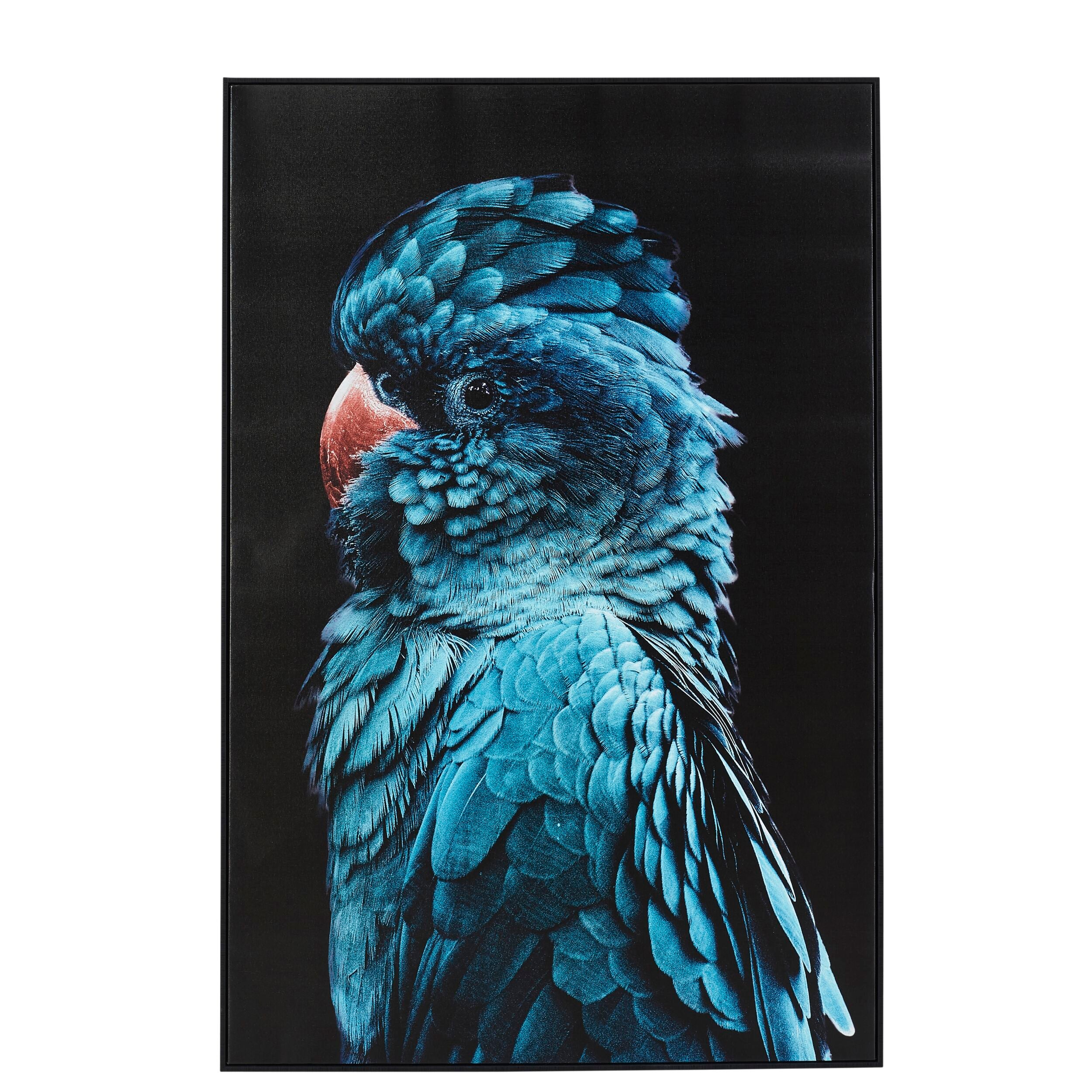Blue Teal Charles Cockatoo Framed Print 120x80cm - Tropical Bird Wall Art for Living Room, Bedroom & Office Decor