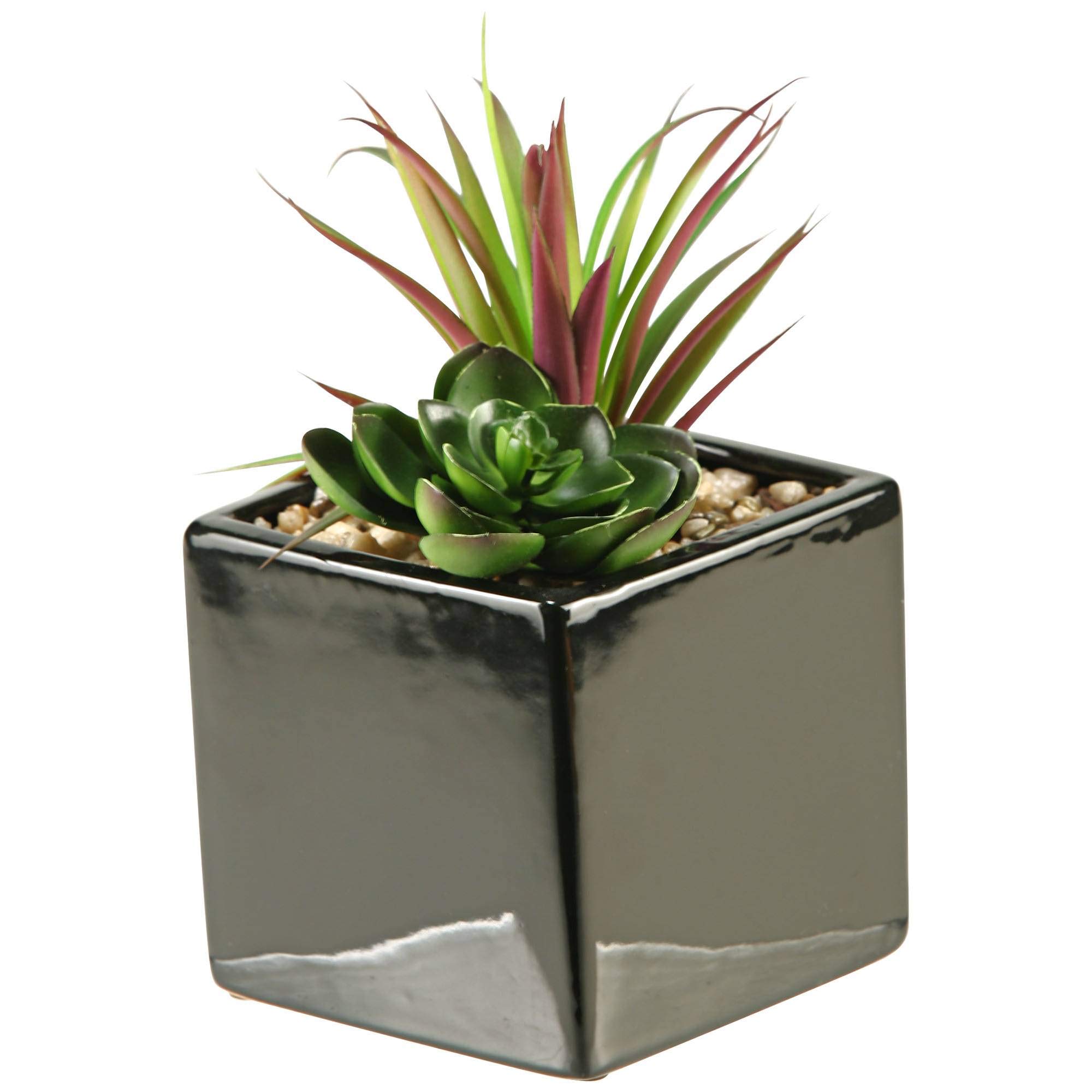 D & W Silks - Realistic Artificial Succulent and Echeveria Plants in Square Black Ceramic Planter - Perfect for Home Decor, Office Desk, Wedding Centerpieces, and Gift Ideas
