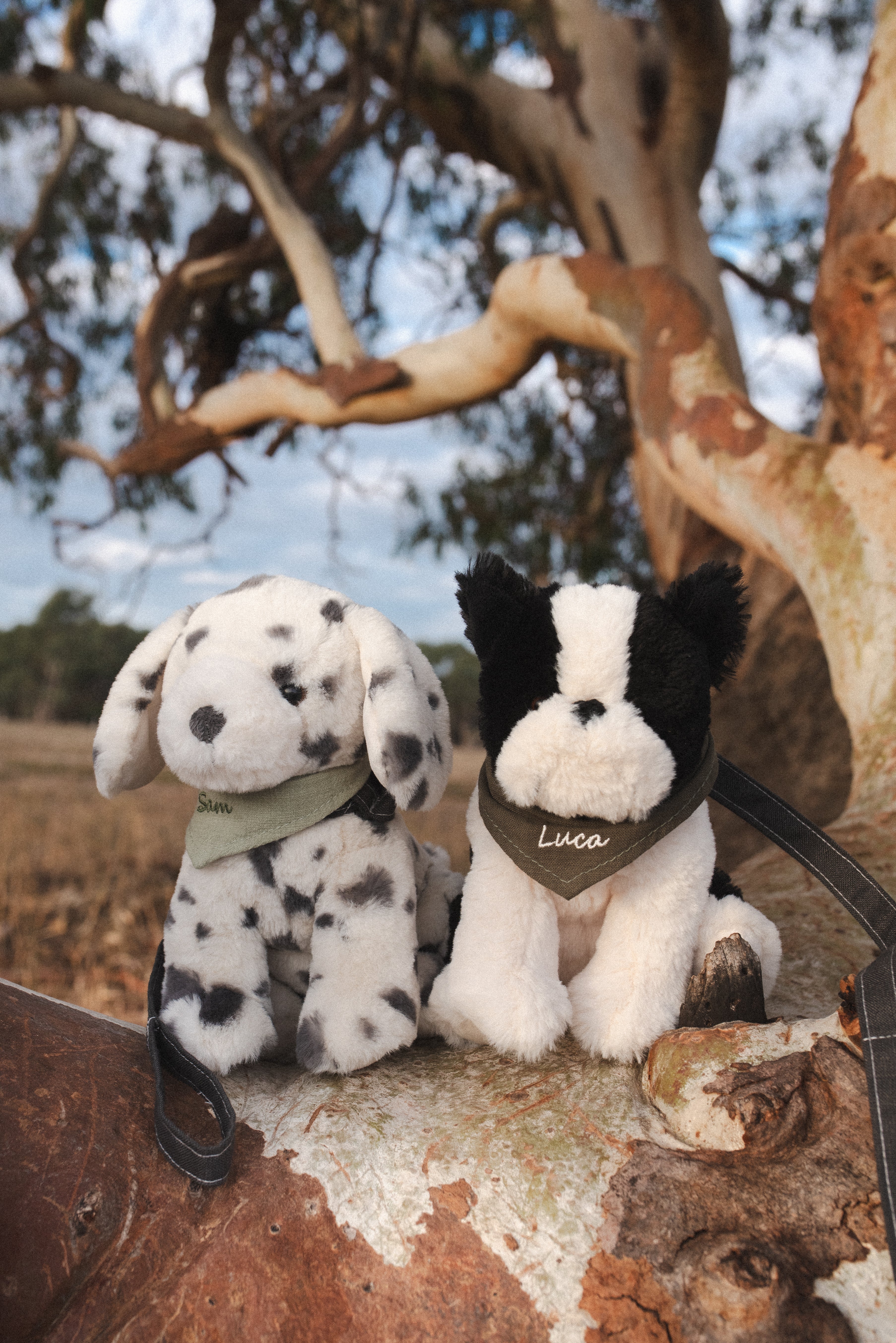 Bruce & Debbie the Dogs Set - Adorable Dog Figurines for Home Decor, Collectibles & Gifts | Perfect for Pet Lovers, Shelf Displays & Themed Parties