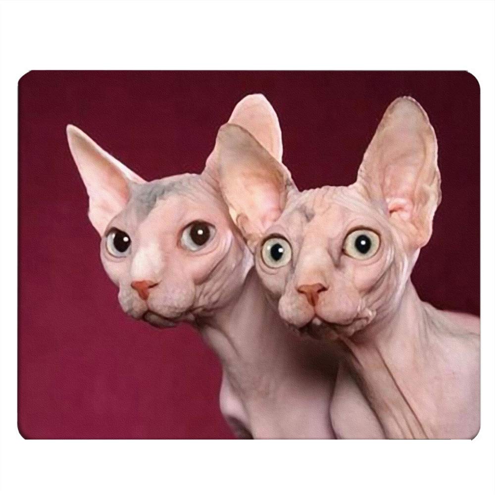 Sphynx Cat Gaming Mouse Pad - Non-Slip Rubber Base, 9.5