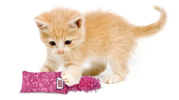 KONG Kickeroo Kitten Toy - Durable Cat Kicker Toy for Playful Kittens - Perfect for Solo Play & Interactive Bonding
