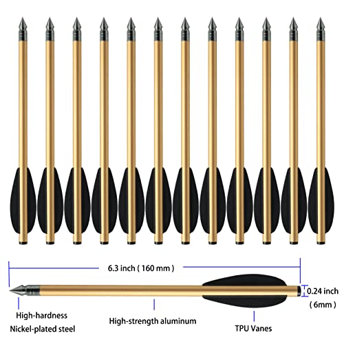 12 Pcs