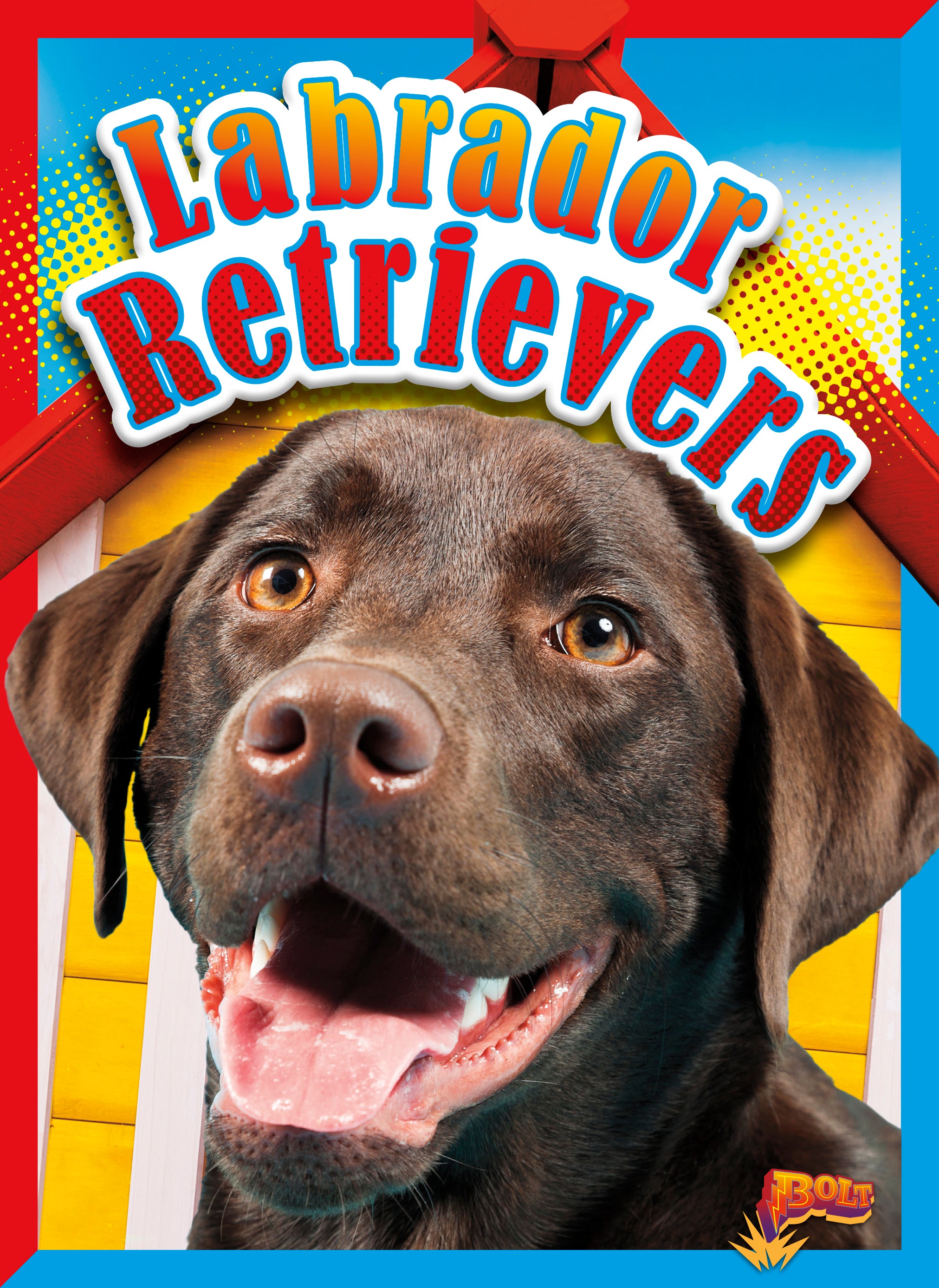 Labrador Retriever Dogs - Friendly Family Pets & Loyal Companions for Hunting, Service & Home | Best Breed for Active Lifestyles