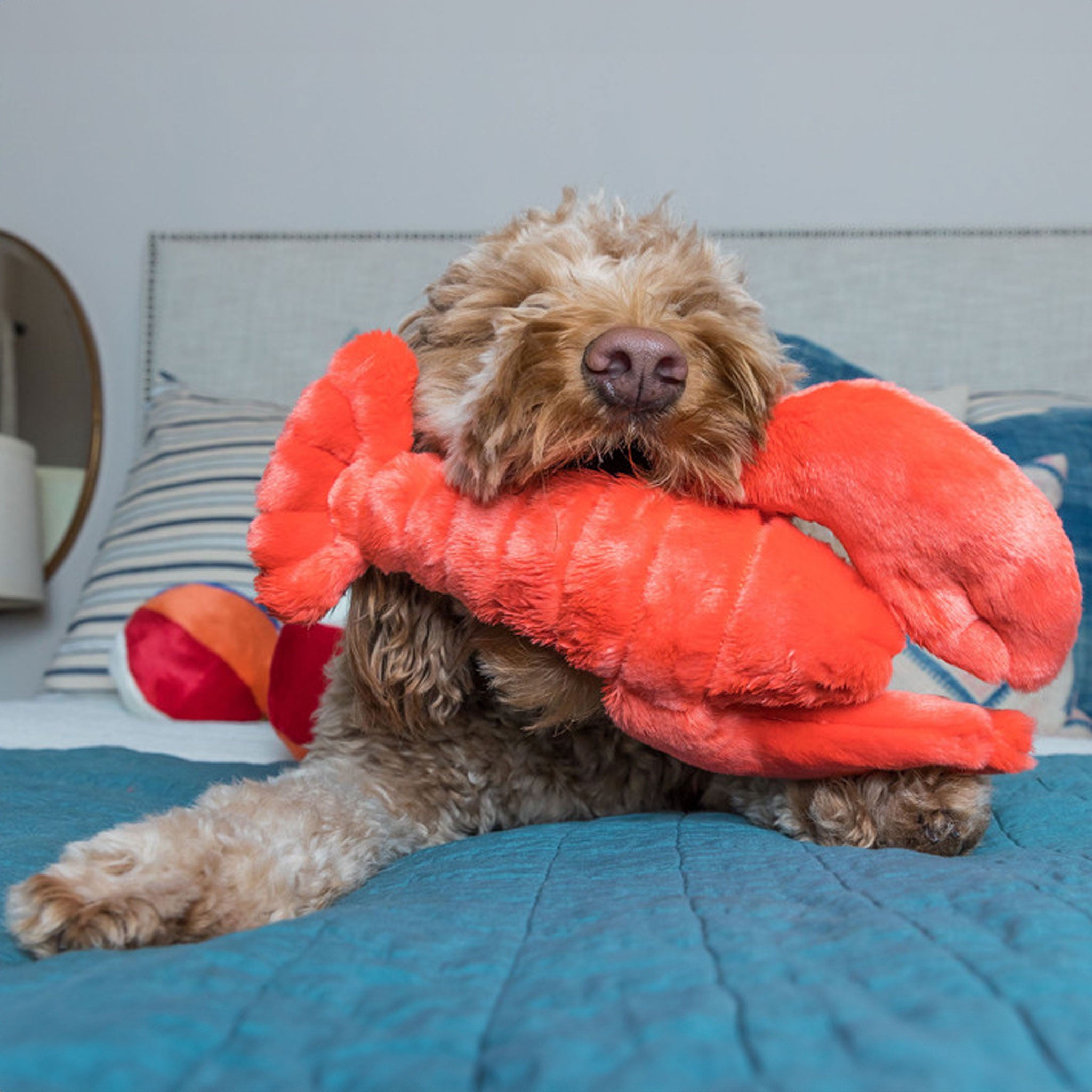 Fluff & Tuff Manny Lobster Red Durable Dog Toy - Chew Proof Plush for Aggressive Chewers, Interactive Play & Cuddling - Perfect for Fetch, Training & Indoor/Outdoor Fun