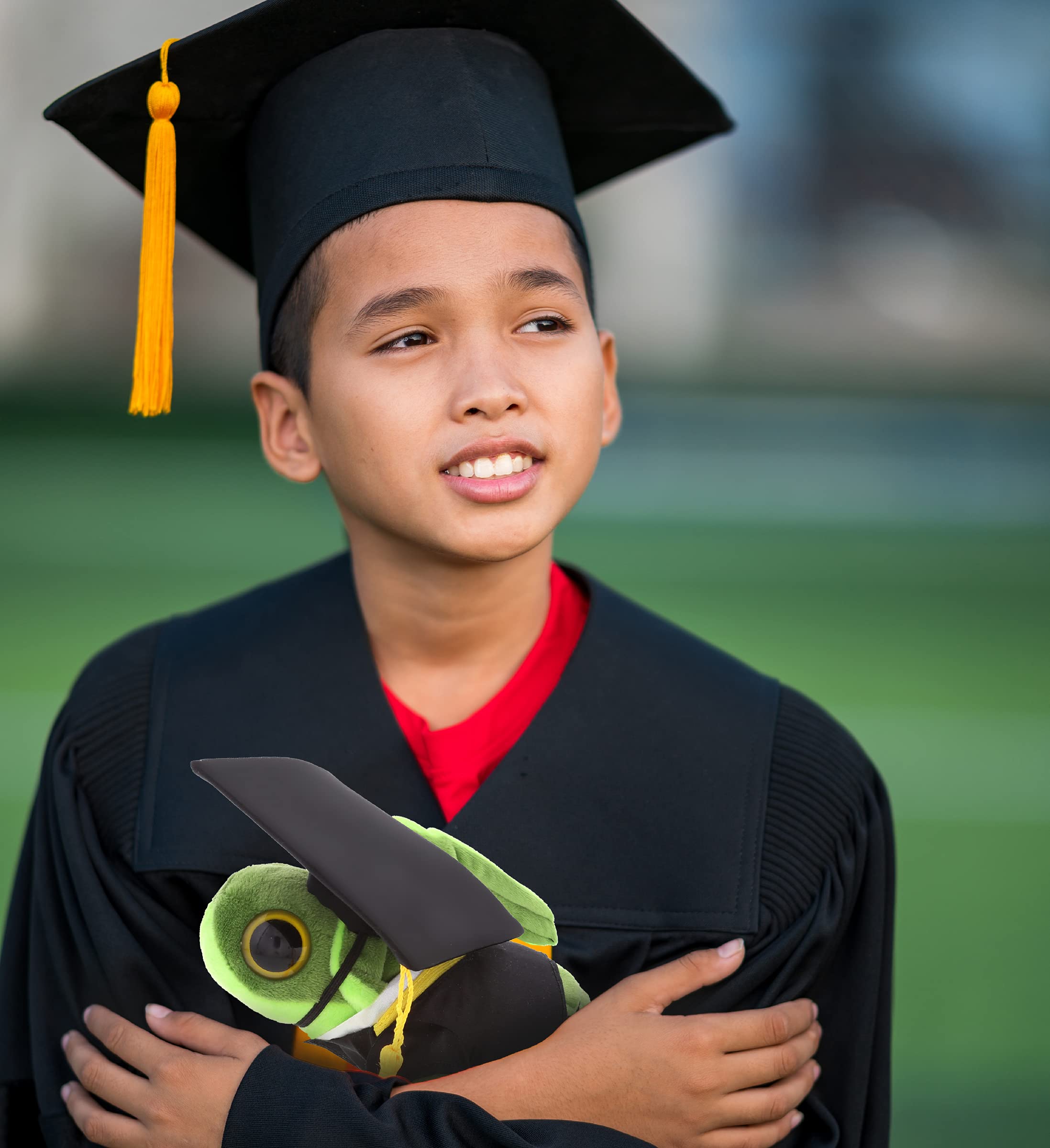 Graduation Plush Stuffed Animal - Big Eyes Sea Turtle with Cap & Gown Outfit - Personalized Graduation Gift for Boys & Girls - 6 Inch Soft Toy - Perfect for Graduation Parties, School Celebrations & Gift Giving