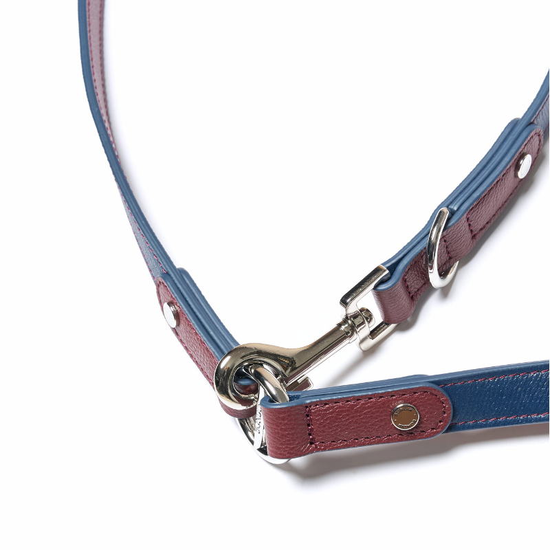 Hands Free Dog Leash - Adjustable Waist Leash for Running, Hiking & Walking - No Pull Reflective Rope for Medium & Large Dogs - Perfect for Outdoor Adventures & Daily Walks