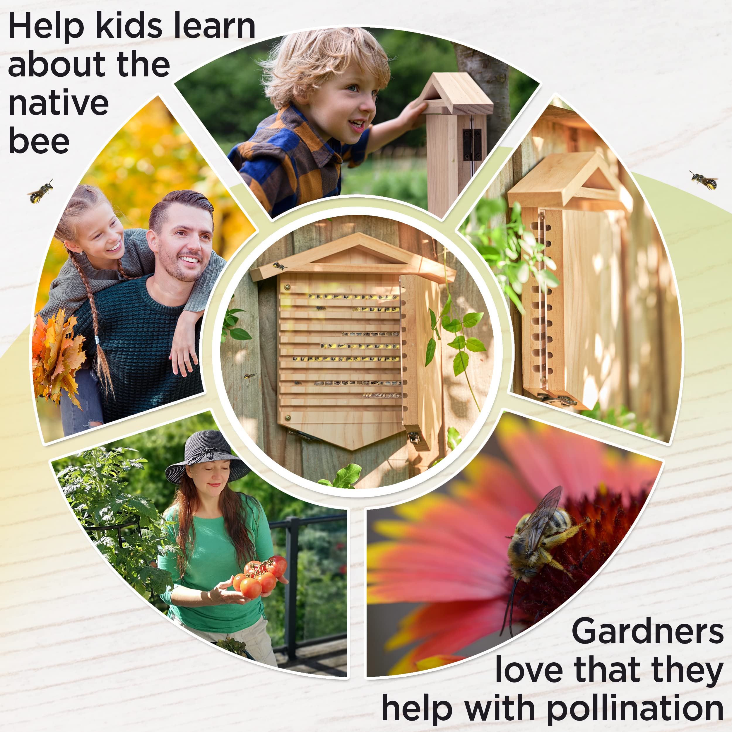 Rivajam Native Bee Observatory - Mason Bee House for Pollinating Bees, Leaf Cutter Bee Home - Eco-Friendly Garden Pollinator Habitat - Perfect Gardening Gift for Nature Lovers (Use in Backyards, Gardens & Outdoor Spaces to Support Bee Conservation)