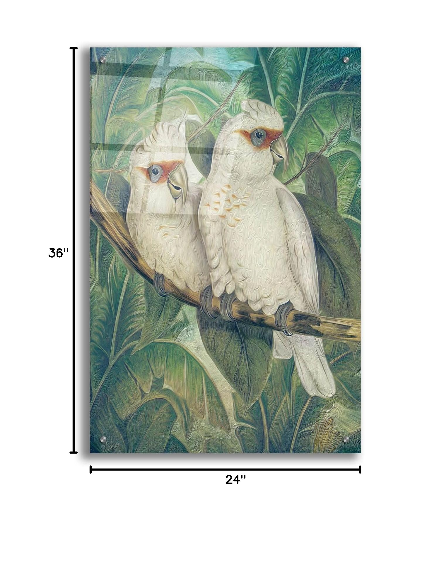 Steve Hunziker 'Painted Plumage Three' Acrylic Glass Wall Art - 24x36 Inches Modern Bird Painting for Living Room, Bedroom & Office Decor