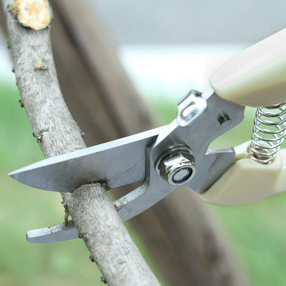 AKOAK 1 Pack Professional Gardening Scissors - Precision Trimmers for Fruit Trees, Branches, Flowers & Bonsai Plants | Ideal for Grafting, Pruning & Plant Care | Perfect for Home Gardeners & Landscaping Enthusiasts