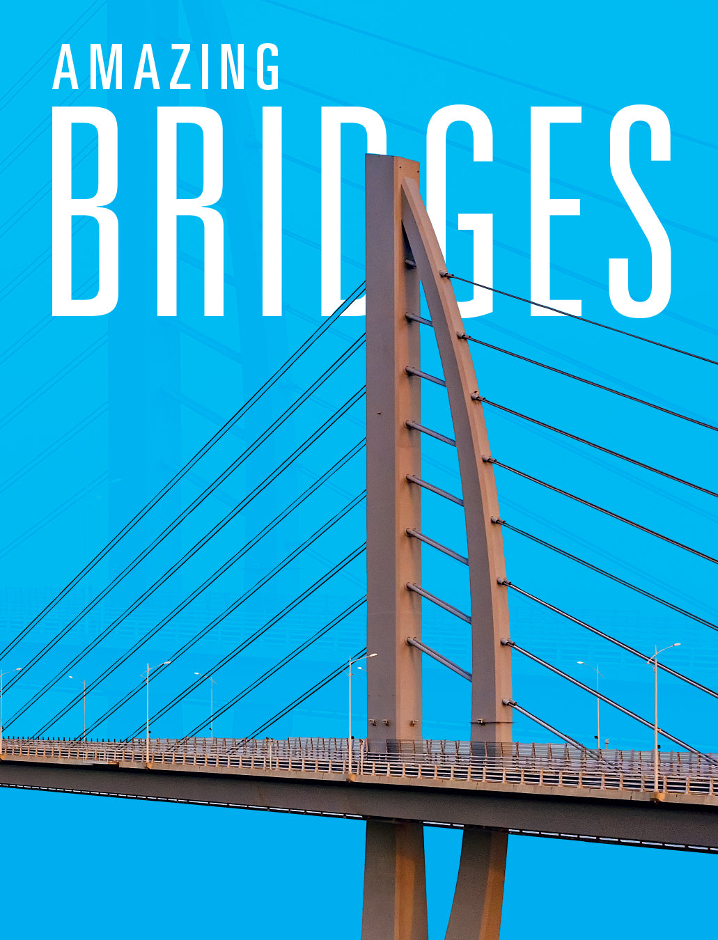 Amazing Bridges: Engineering Wonders Book (ISBN 9781632357878) - Perfect for Students, Engineers & Architecture Enthusiasts