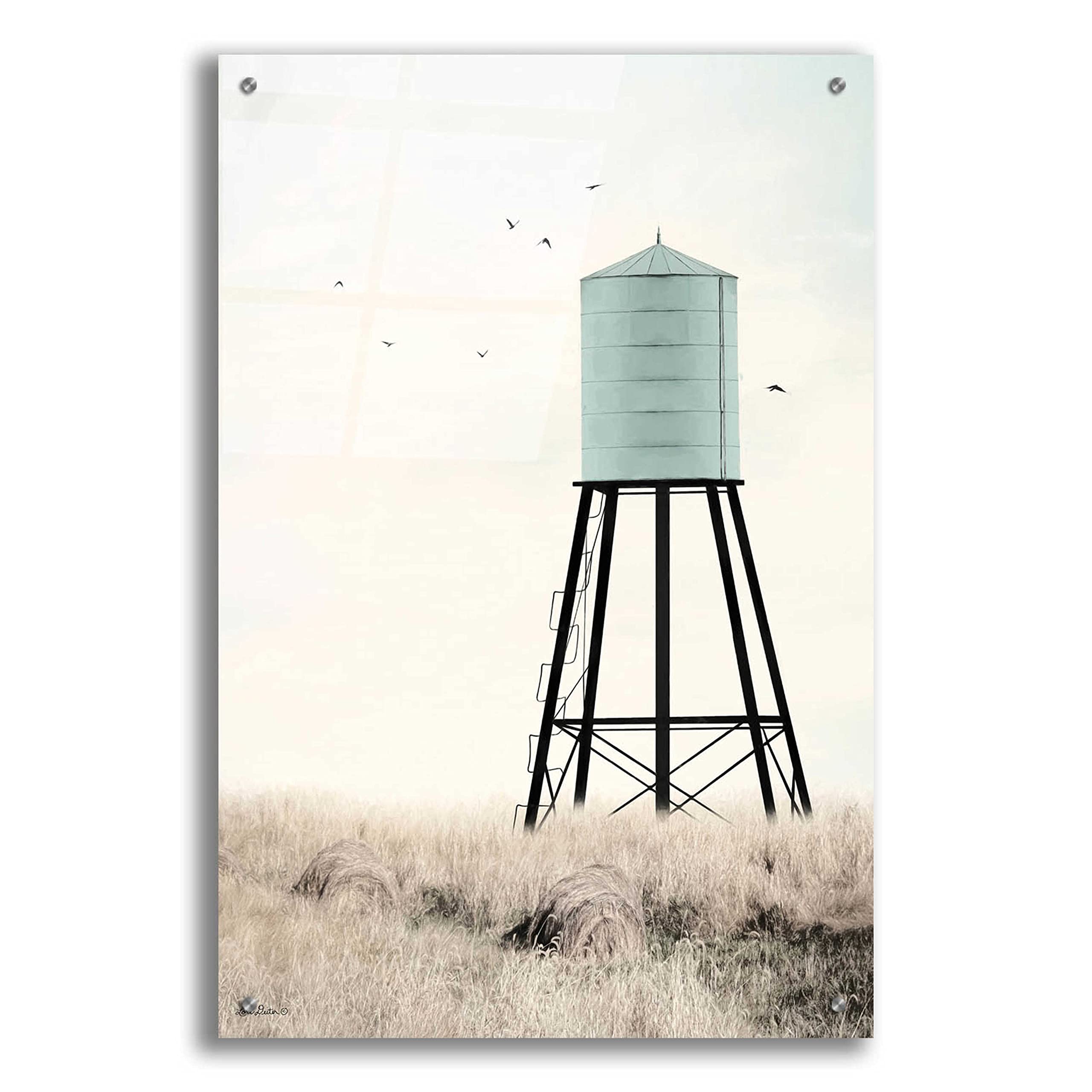 Epic 'Save Water' Acrylic Glass Wall Art by Lori Deiter - 24x36 Inches - Modern Eco-Friendly Home & Office Decor for Living Room, Bedroom, or Kitchen