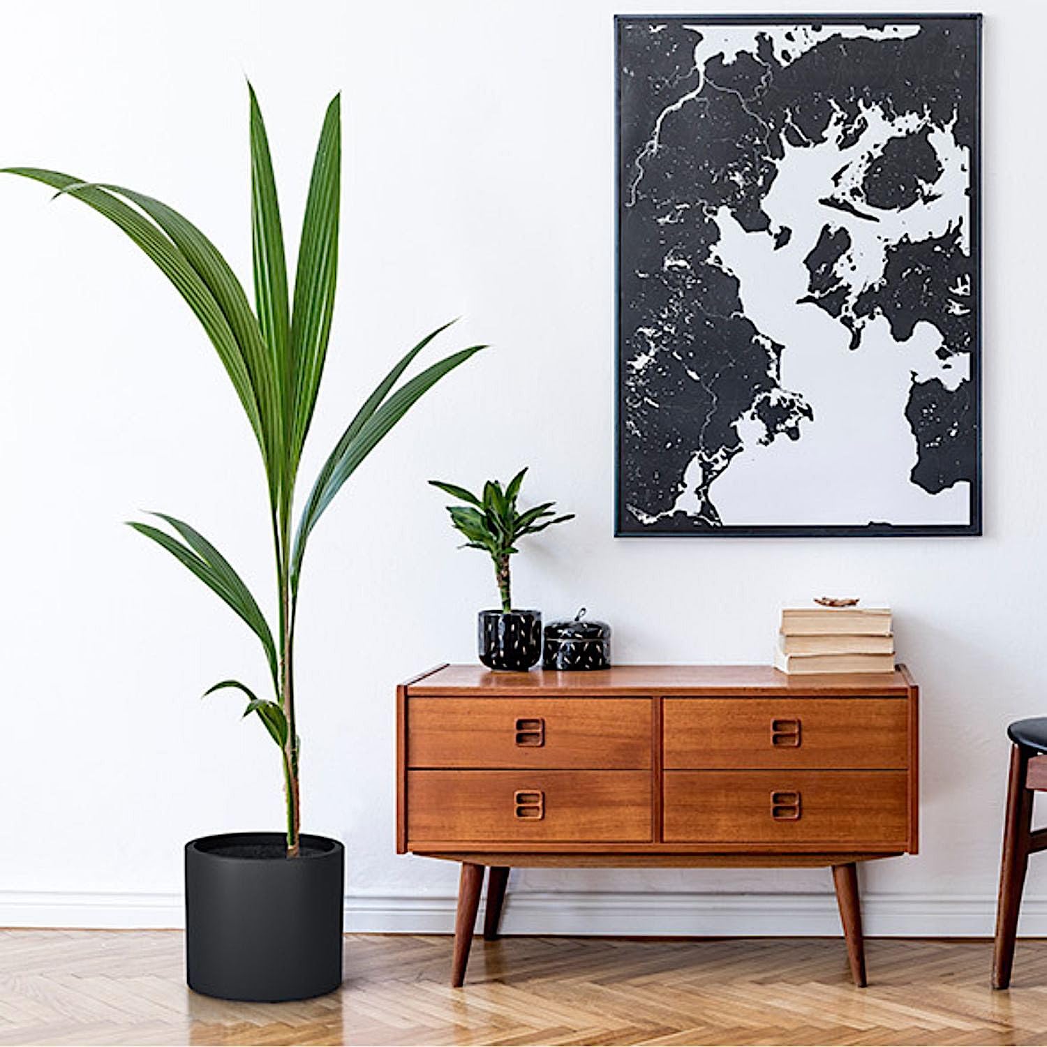 Premium 8 Inch Black Fiberstone Planter with Drainage Hole - Lightweight Matte Plant Pot for Indoor & Outdoor Plants | Weather & UV Resistant | Perfect for Home Decor, Garden, Patio & Office Plants