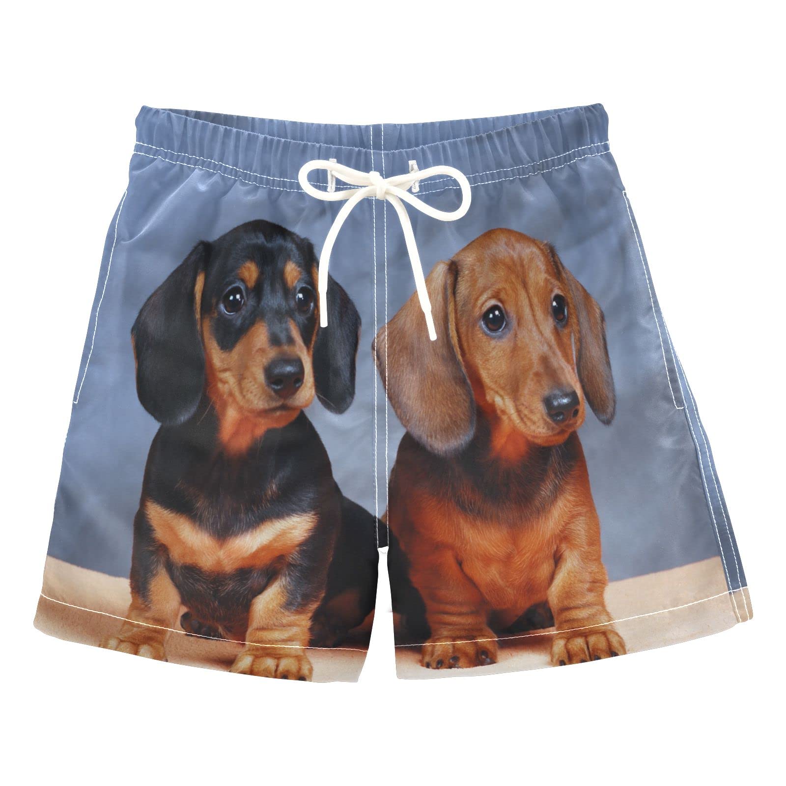 AMICHIC Boys Dachshunds Dog Print Swim Trunks - Quick Dry Beach Shorts with Mesh Lining & Adjustable Waist for Swimming, Pool Party, Summer Vacation