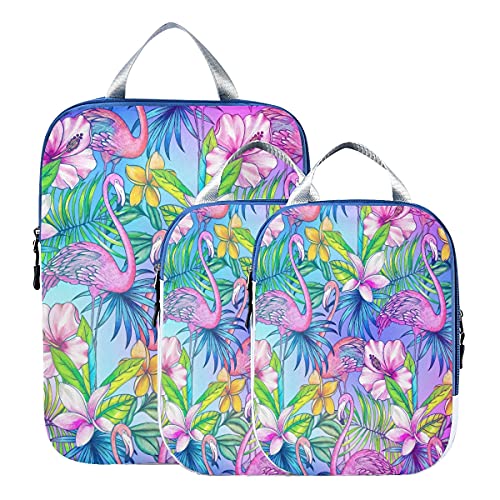 Flamingo 08
