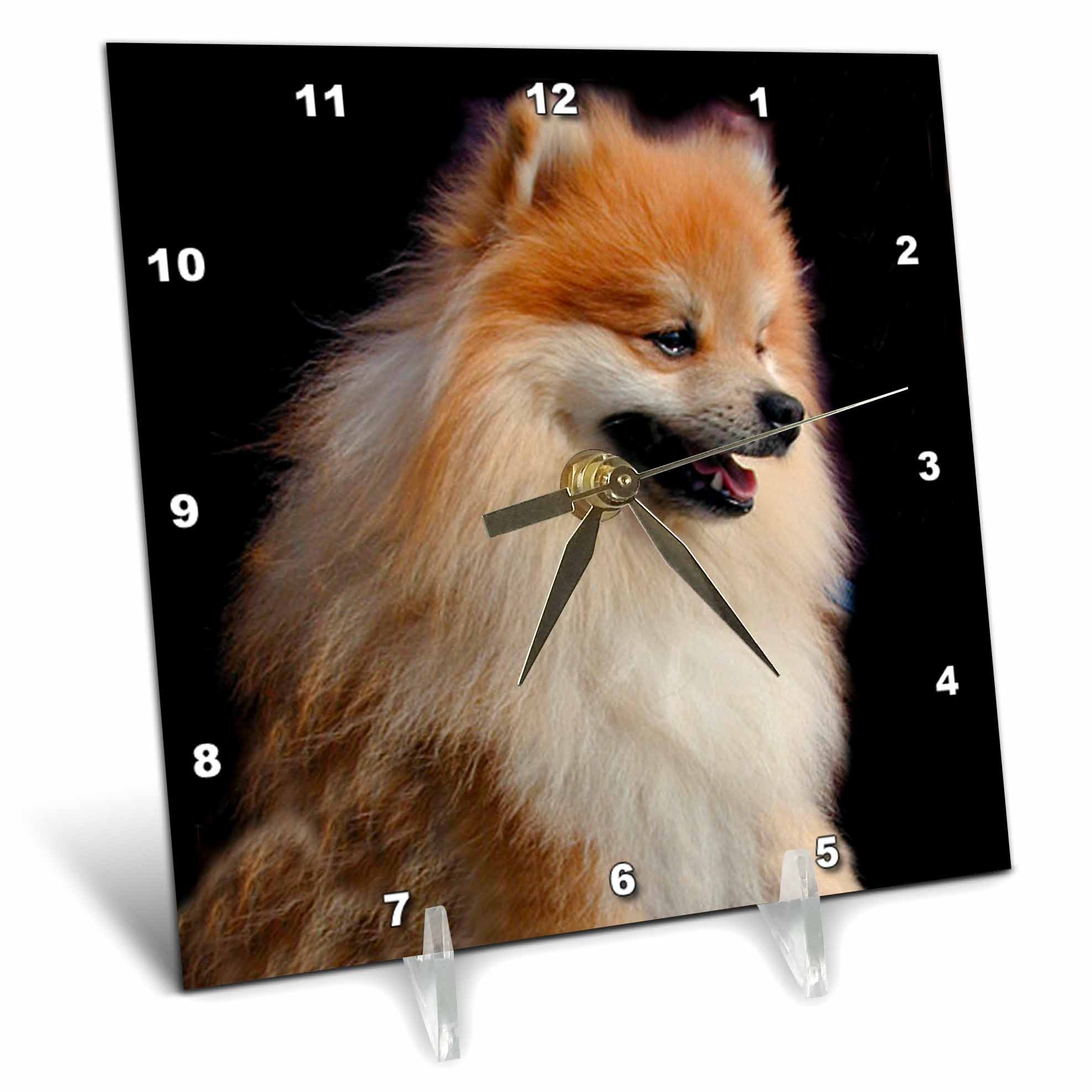 3D Rose Pomeranian Portrait Desk Clock - 6