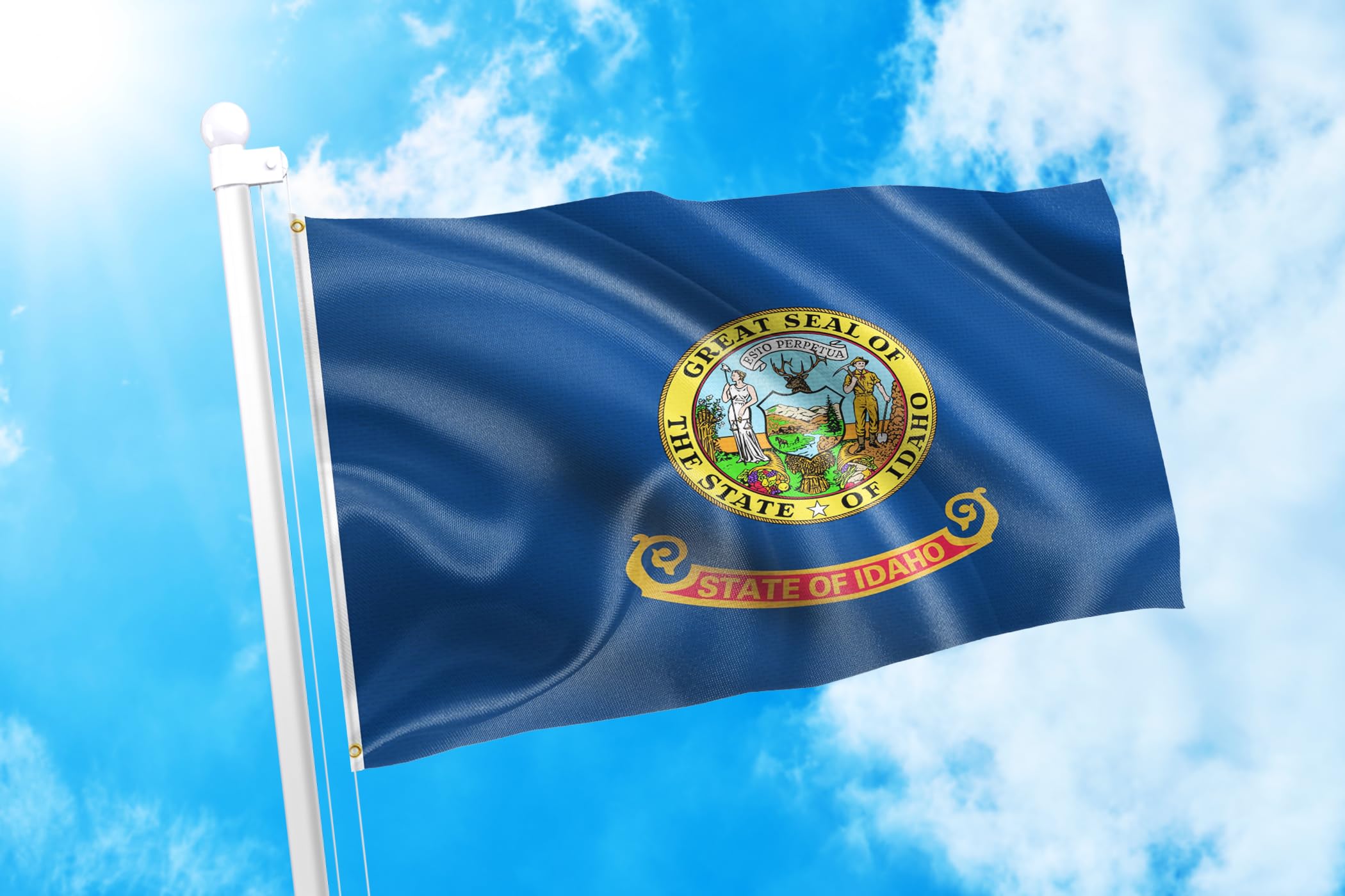 Idaho State Flag 3x5 Feet - DMSE Official Seal & Flag, 100% Polyester 100D, UV Resistant, Durable Outdoor/Indoor Use - Perfect for Government Buildings, Schools & Patriotic Events