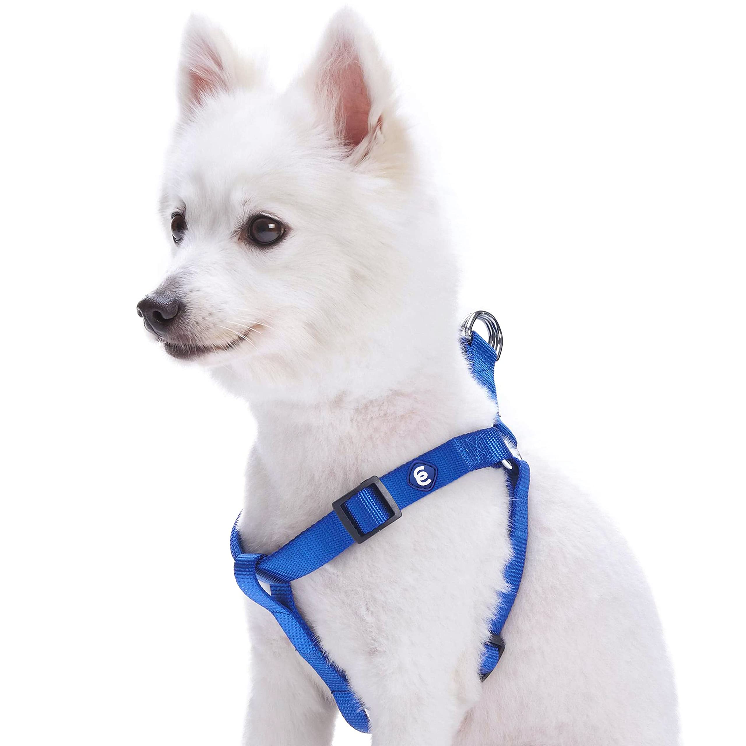 Blueberry Pet Essentials Adjustable No-Pull Dog Harness for Small Dogs - Classic Solid Nylon Step-in Harness with Easy Walk Design | Perfect for Walking, Training & Outdoor Adventures (Royal Blue)