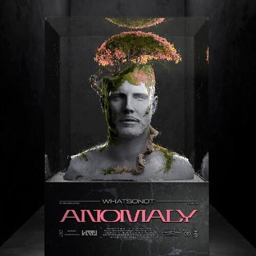 Anomaly Vinyl LP Record - High-Quality Collectible Music Album for Audiophiles & Vinyl Enthusiasts - Perfect for Home Listening, Gifts & Music Collections