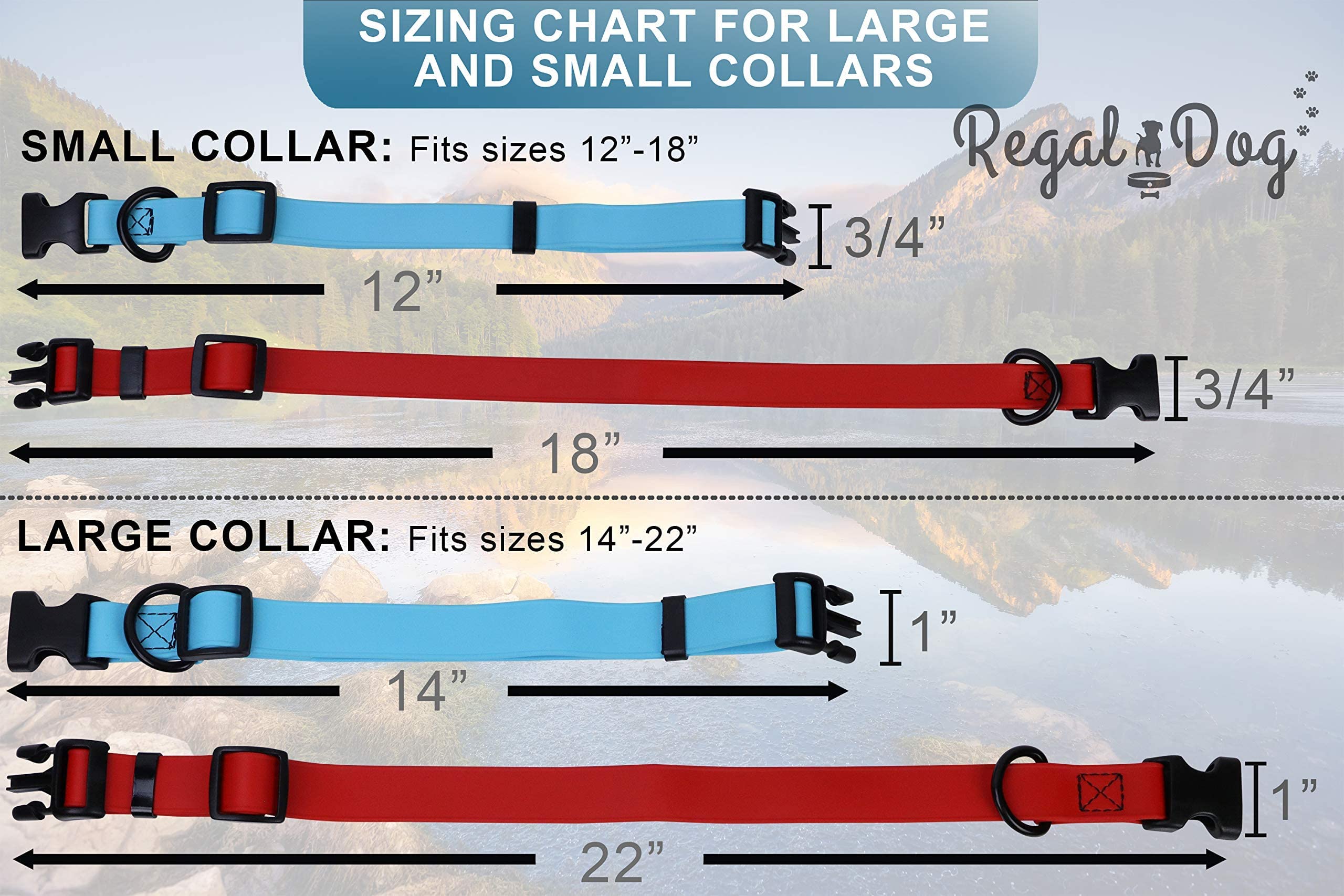 Regal Dog Products Small Teal Waterproof Dog Collar - Adjustable, High Strength Buckle & Heavy Duty Ring - Training Collar for Small Dogs & Puppies - Perfect for Outdoor Adventures, Walks & Water Activities