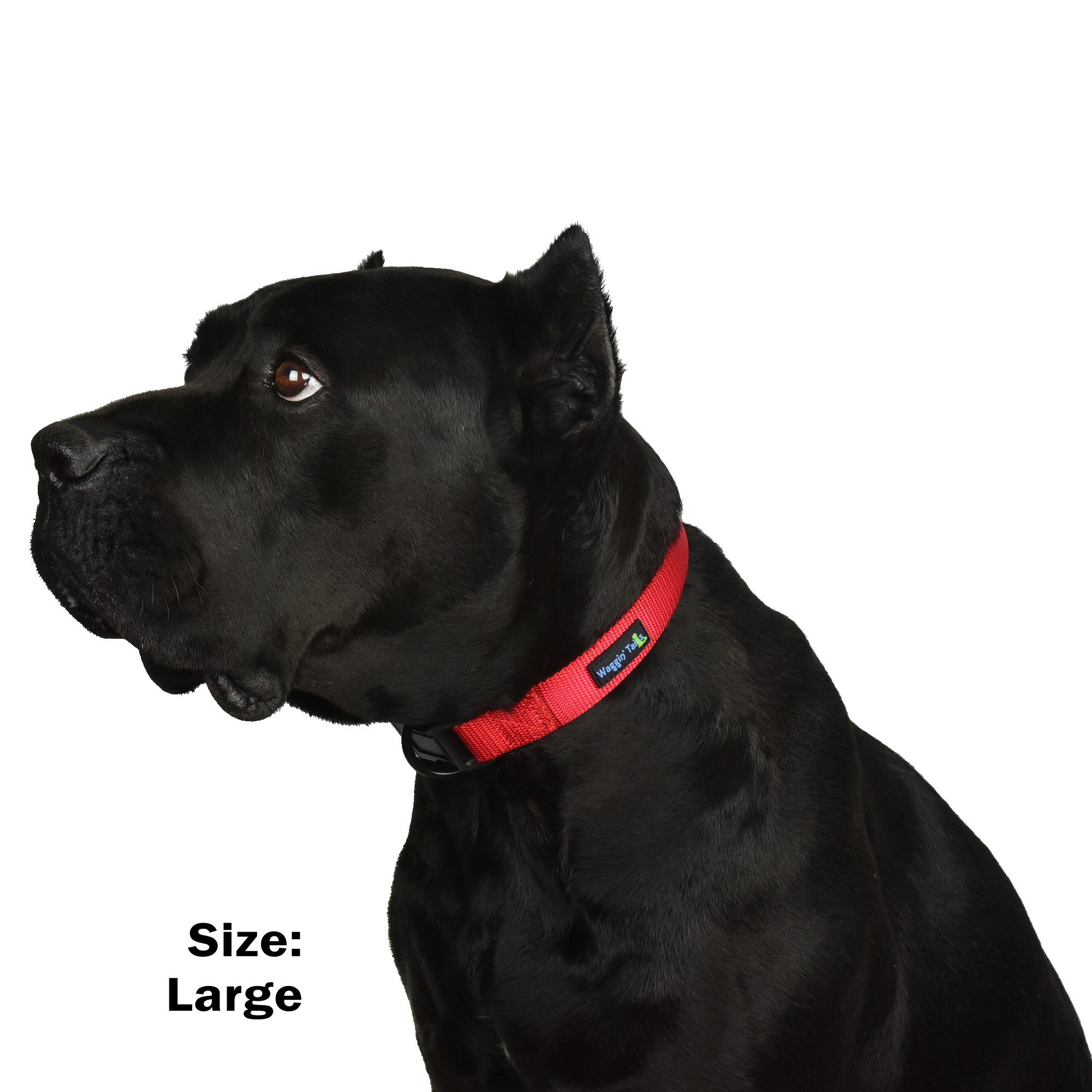 Premium Nylon Neoprene Padded Dog Collar - Classic Comfort Design for Large Dogs, Adjustable & Durable Pet Collar (Carnation Red) by Wagtime Club - Perfect for Daily Walks, Training & Outdoor Adventures