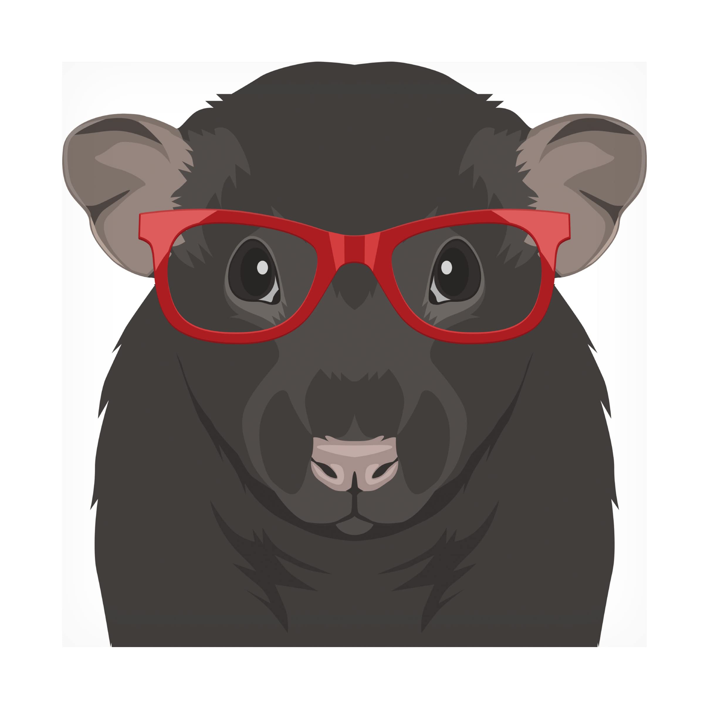 Trademark Fine Art 'Rat Wearing Hipster Glasses' Canvas Wall Art Print by Furbaby Affiliates - Unique Home Decor for Living Room, Bedroom & Office