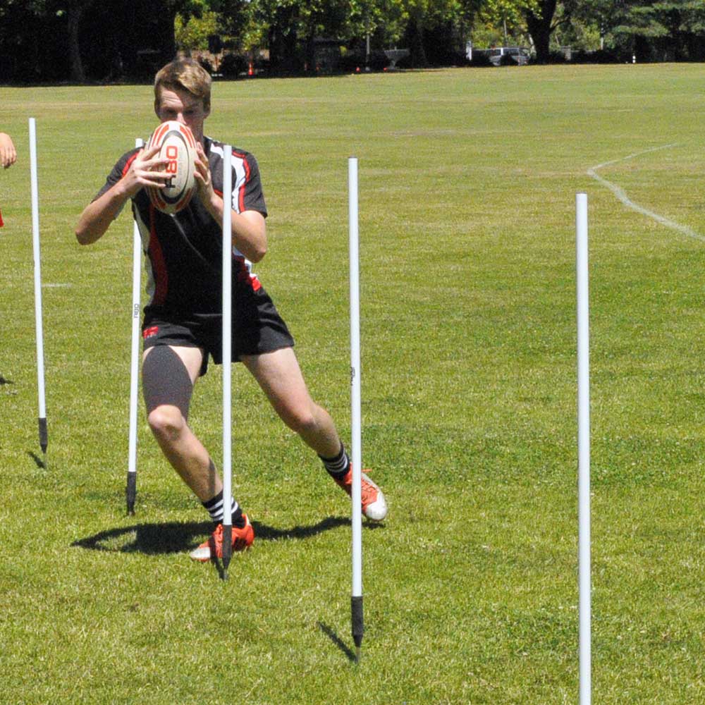 10-Piece Rubber Base Agility Pole Set for Dog Training & Sports - Perfect for Agility Courses, Backyard Obstacles, and Fitness Drills