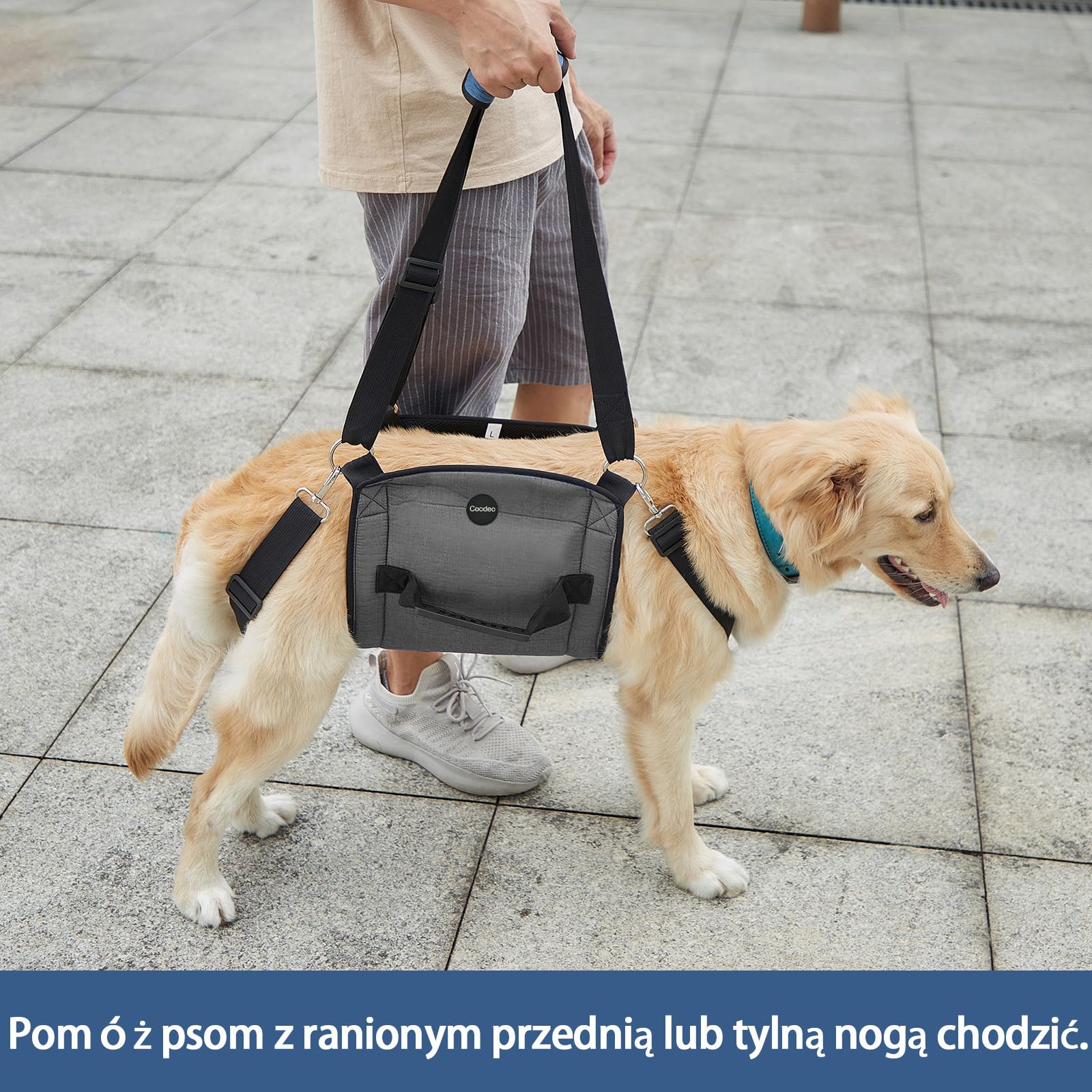 COODEO Dog Lift Harness - Adjustable Pet Sling Carrier for Senior Dogs with Joint Pain, Arthritis & Injuries - Emergency Support for Nail Trimming, Stairs & Rehabilitation (2XL, Black) - Perfect for Elderly Pets, Post-Surgery Care & Mobility Assistance
