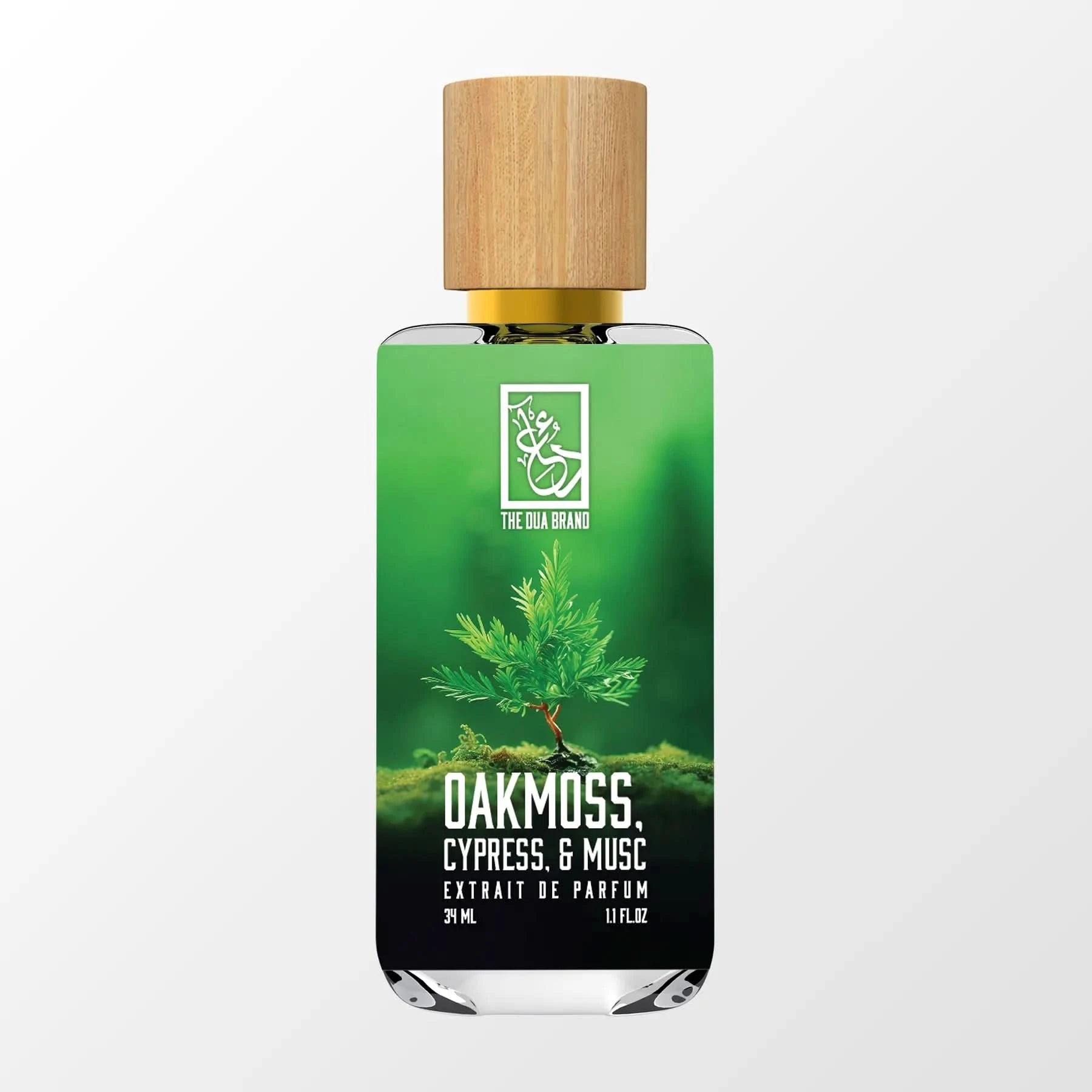Oakmoss, Cypress & Musk Perfume Oil - Natural Aromatherapy Scent for Relaxation, Meditation & Home Fragrance