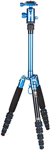 AM-005B