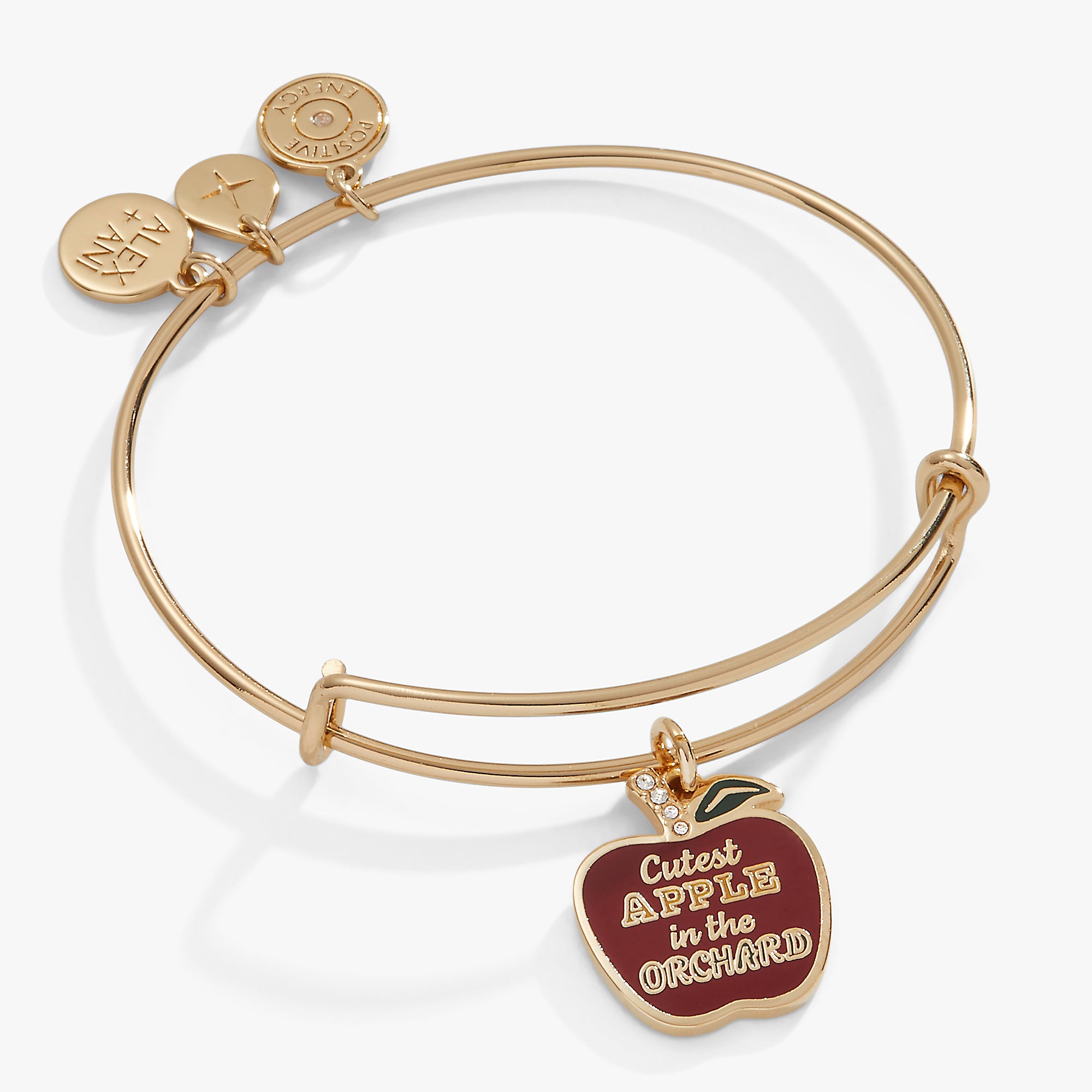 Charming Apple Orchard Bracelet - Elegant Adjustable Bangle for Women - Perfect for Everyday Wear, Gift Giving & Special Occasions