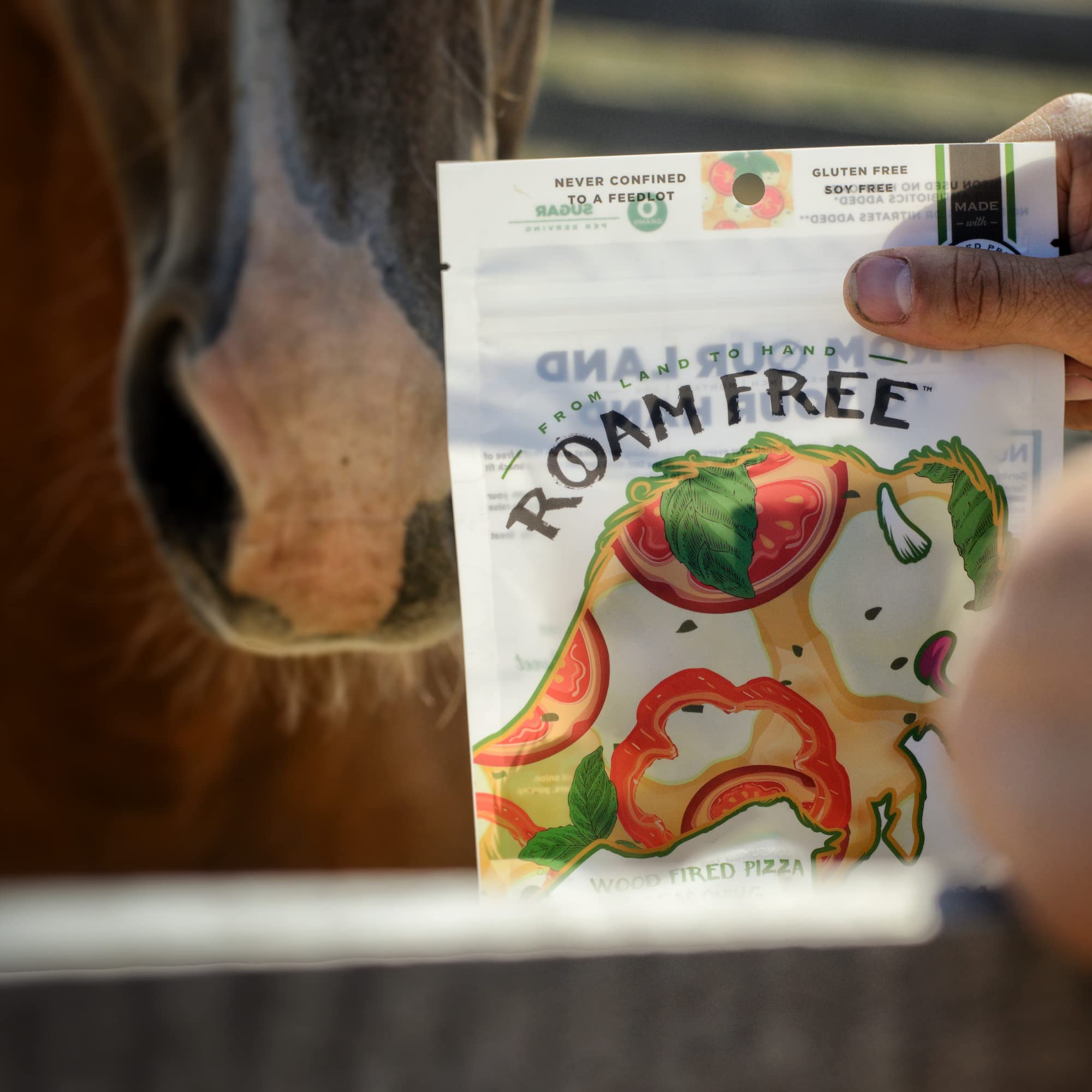 Premium Roam Free Bison Jerky Bites - 100% Grass Fed, High Protein, Sugar Free, Gluten Free | Keto & Paleo Friendly Meat Snack | Perfect for Hiking, Camping & Outdoor Adventures | Wood Fire Pizza Flavor (Pack of 10) - Ideal Gift for Men & Health-Conscious Snackers