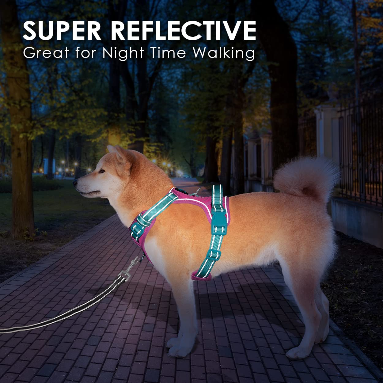 PHOEPET No Pull Dog Harness - Reflective Adjustable Vest with Soft Training Handle & Metal Clips for Small, Medium, Large Dogs - Purple Base & Green Straps (XS) | Perfect for Walking, Training & Nighttime Safety
