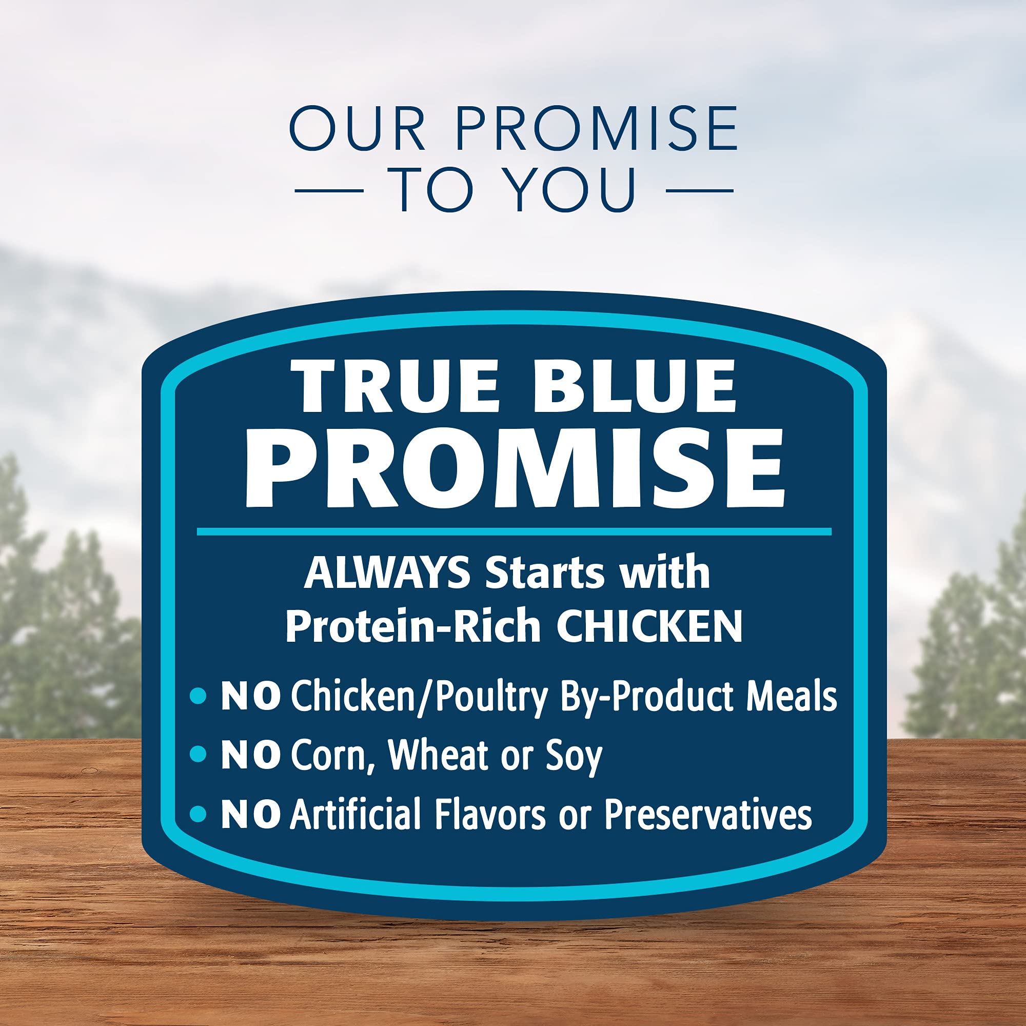 Blue Buffalo Wilderness High Protein Grain Free Kitten Food Bundle - Dry & Wet Cat Food with Real Chicken (5lb Dry + 24 Pack 3oz Cans) for Indoor & Outdoor Kittens