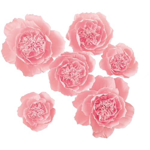 Pink;set/6