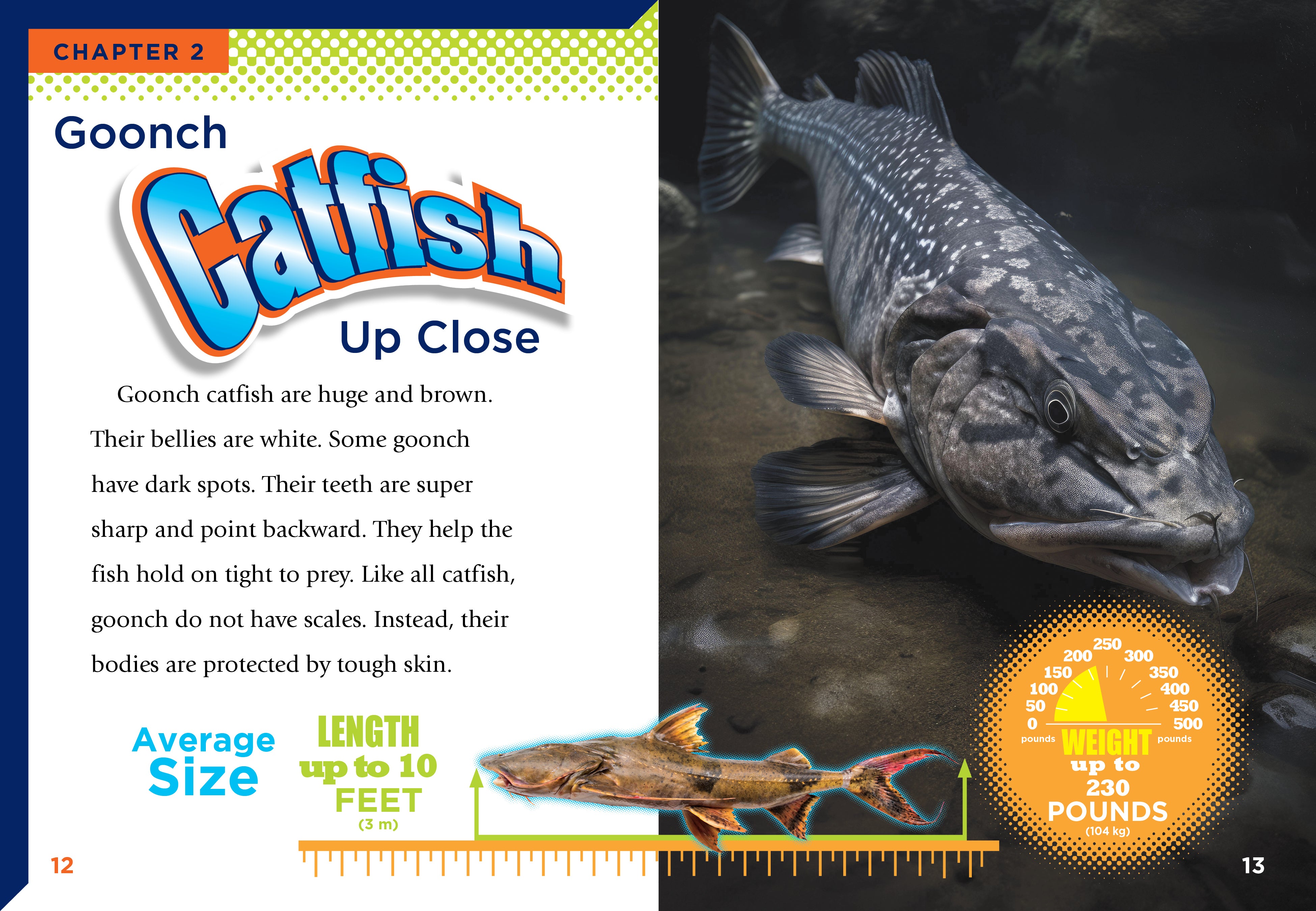 Goonch Catfish Book - 9781623109141 - Perfect for Aquarium Enthusiasts & Fish Lovers