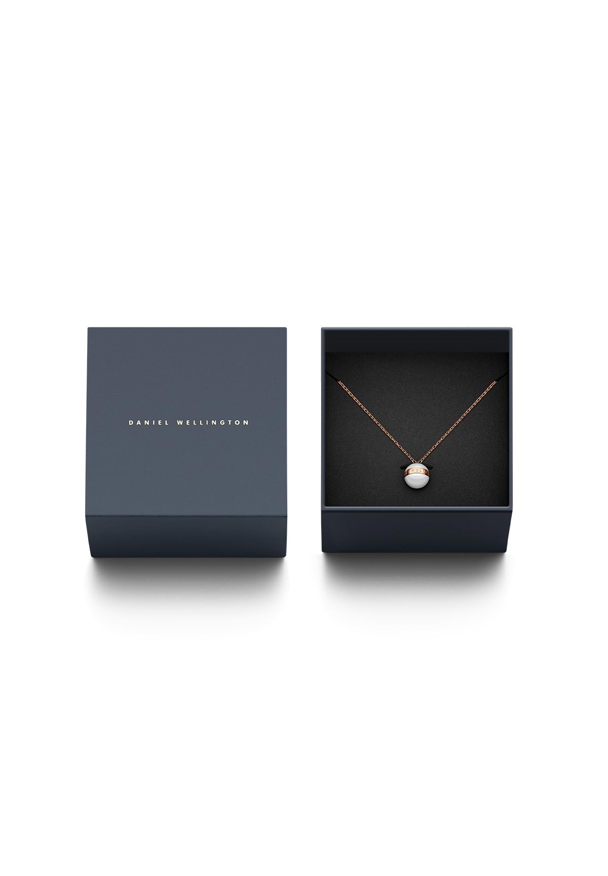 Daniel Wellington Aspiration Necklace - Elegant Minimalist Pendant for Women | Perfect for Everyday Wear, Gifts & Special Occasions