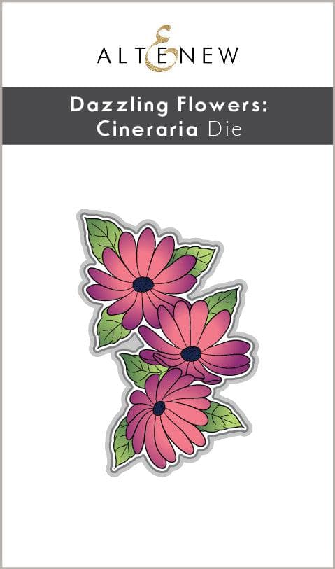 Stunning Cineraria Flowers - Vibrant & Long-Lasting Blooms for Home Decor, Wedding Bouquets & Garden Landscaping