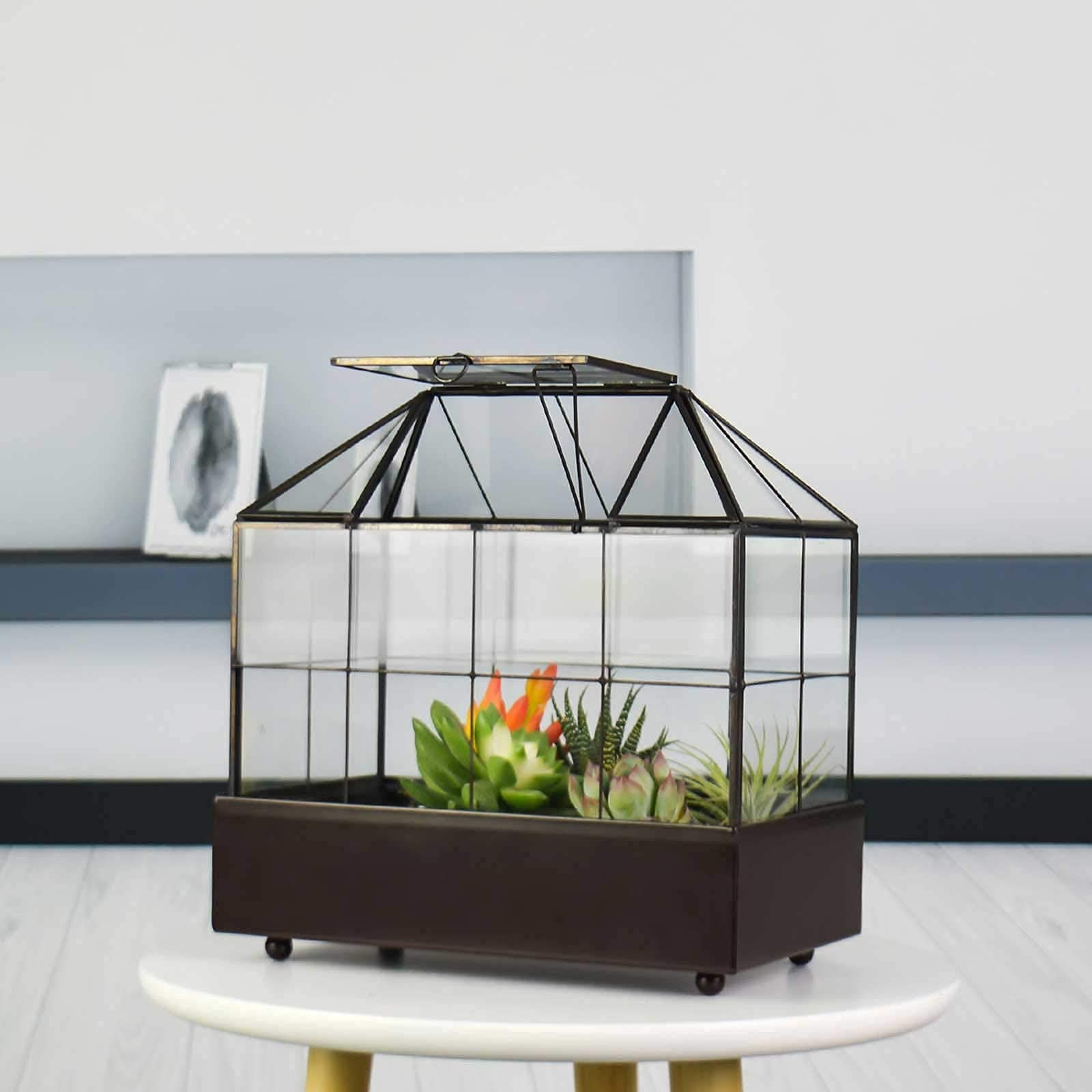 Large Glass Terrarium for Plants - 9.5