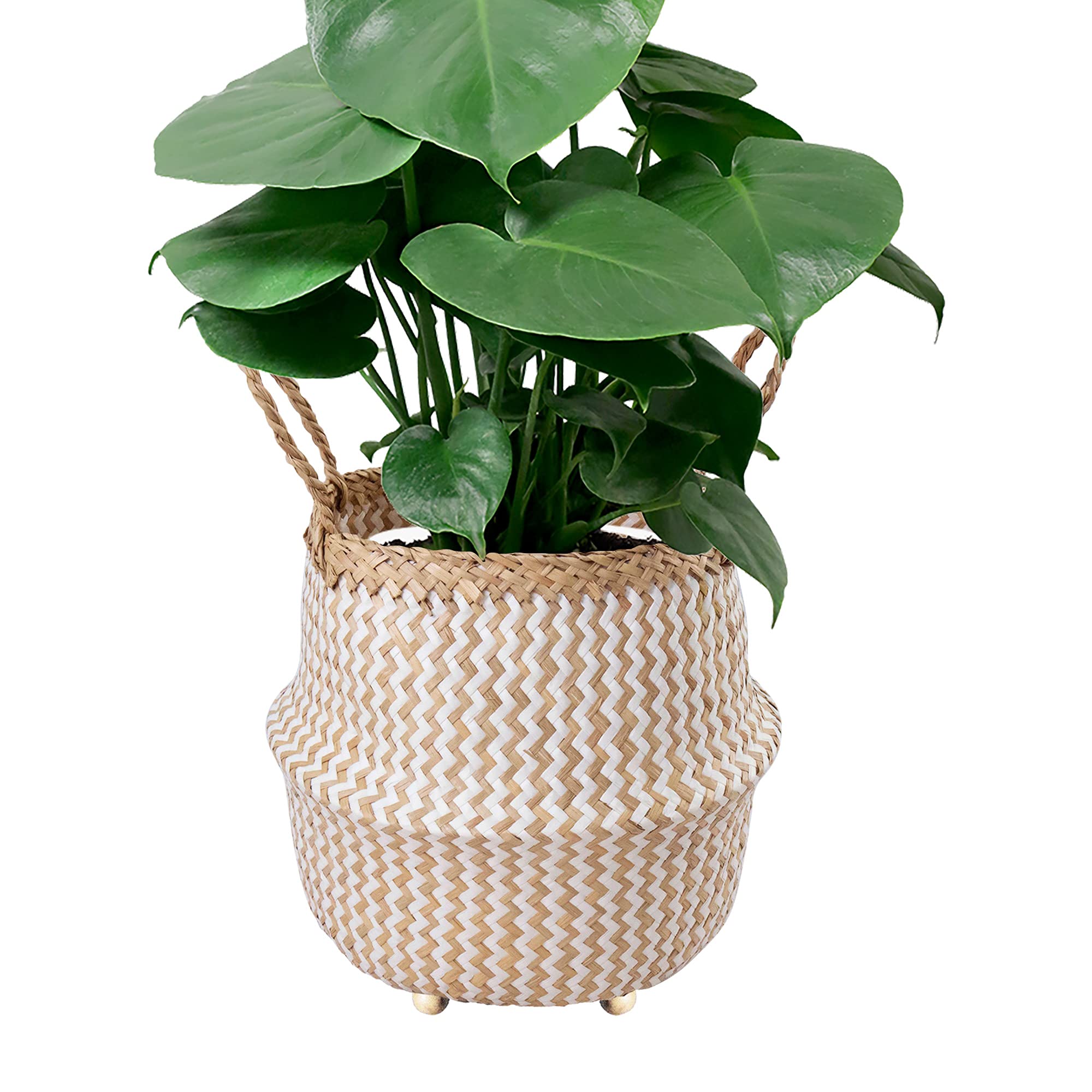 Seagrass Belly Basket with Handles - Beaded Planter Pot Cover for Indoor Plants, Nursery & Playroom Storage Bins, Wicker Laundry Hamper - Farmhouse & Rustic Decor Basket (White Zigzag) - Perfect for Home, Office, and Gift Giving