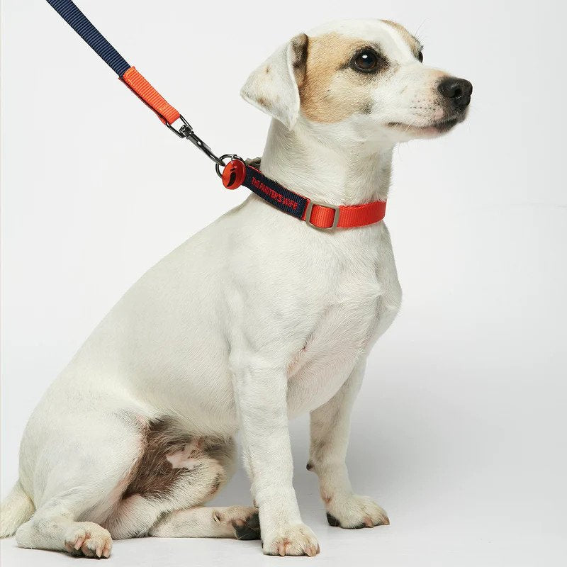 Premium Retractable Dog Leash for Small to Medium Dogs - The Painter's Wife Sonia Design - Durable Nylon Reflective Leash for Walking, Running & Outdoor Adventures