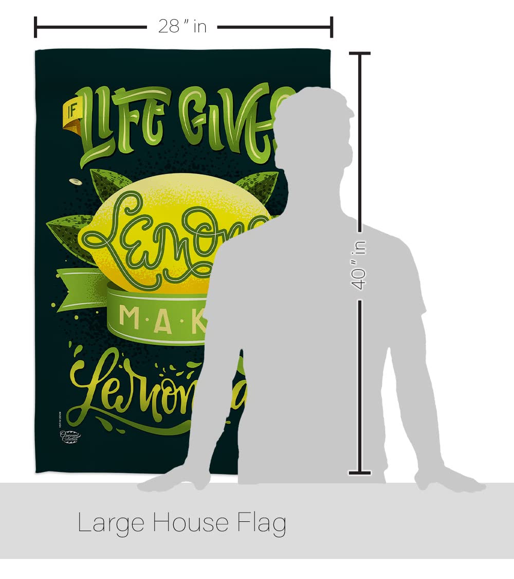Double-Sided USA Made House Flag Set - Eagle, Tropical Fruits (Lemon, Pineapple, Strawberry, Apple, Watermelon) & Aloha Summer Decor for Garden, Yard, Patio | Outdoor Seasonal Banner & Unique Gift Idea