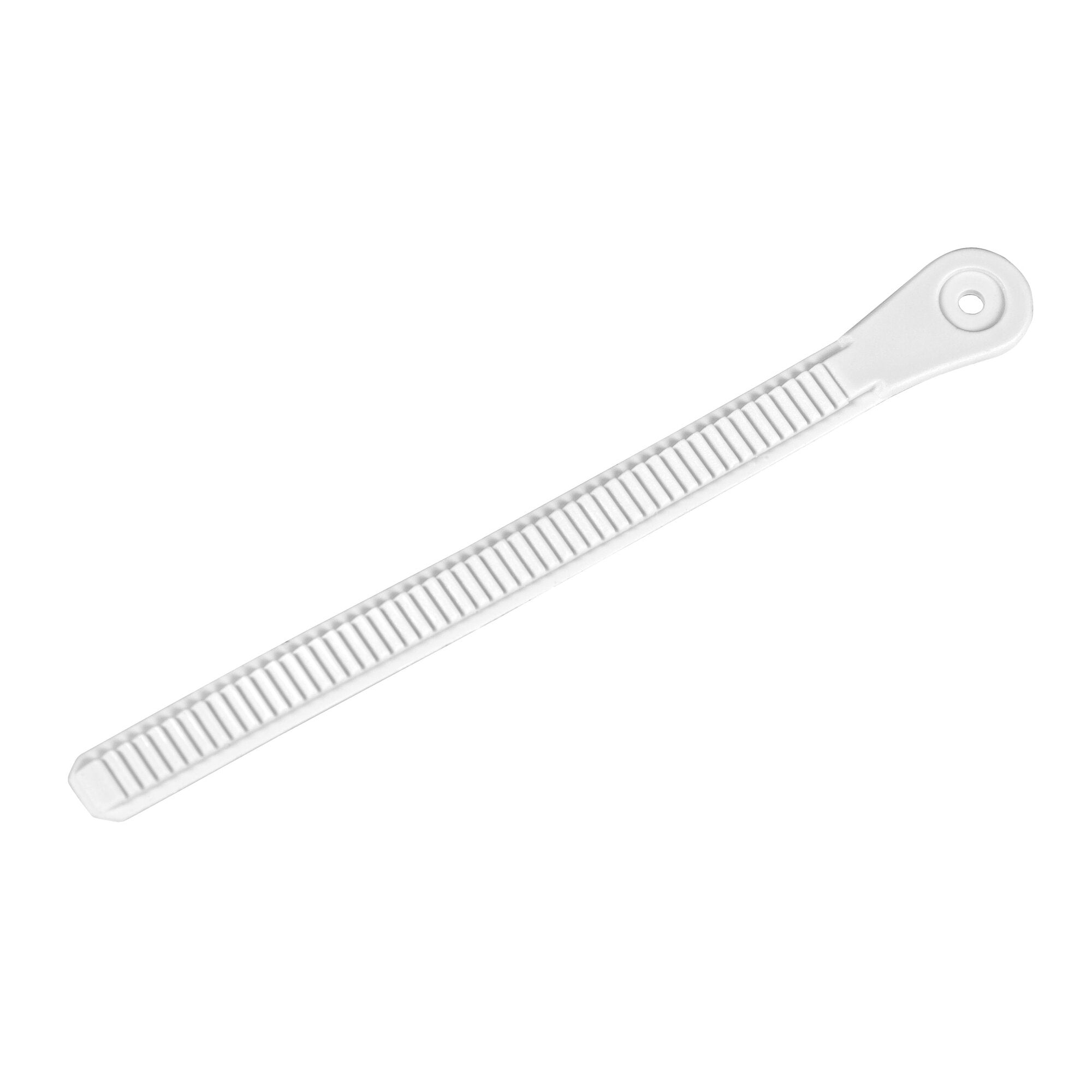 White Plastic Strap with Crown Buckle - 19cm Adjustable Belt for Cosplay, Costume Accessories & Fashion Outfits | Perfect for Halloween, LARP & Themed Parties