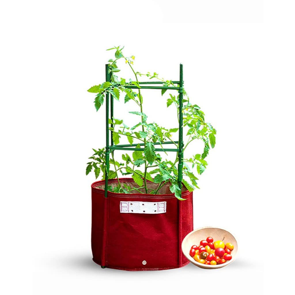 12 Gallon Tomato Plant Grow Bags - Heavy Duty Non-Woven Fabric Pots for Vegetables, Fruits & Flowers - Ideal for Home Gardening, Orchard & Greenhouse Use