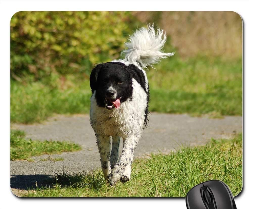 Premium Gaming Mouse Pad - Non-Slip Large Mouse Mat with Wetterhoun Spring Play Dog Nature Design - Perfect for PC, Laptop Gaming & Office Work